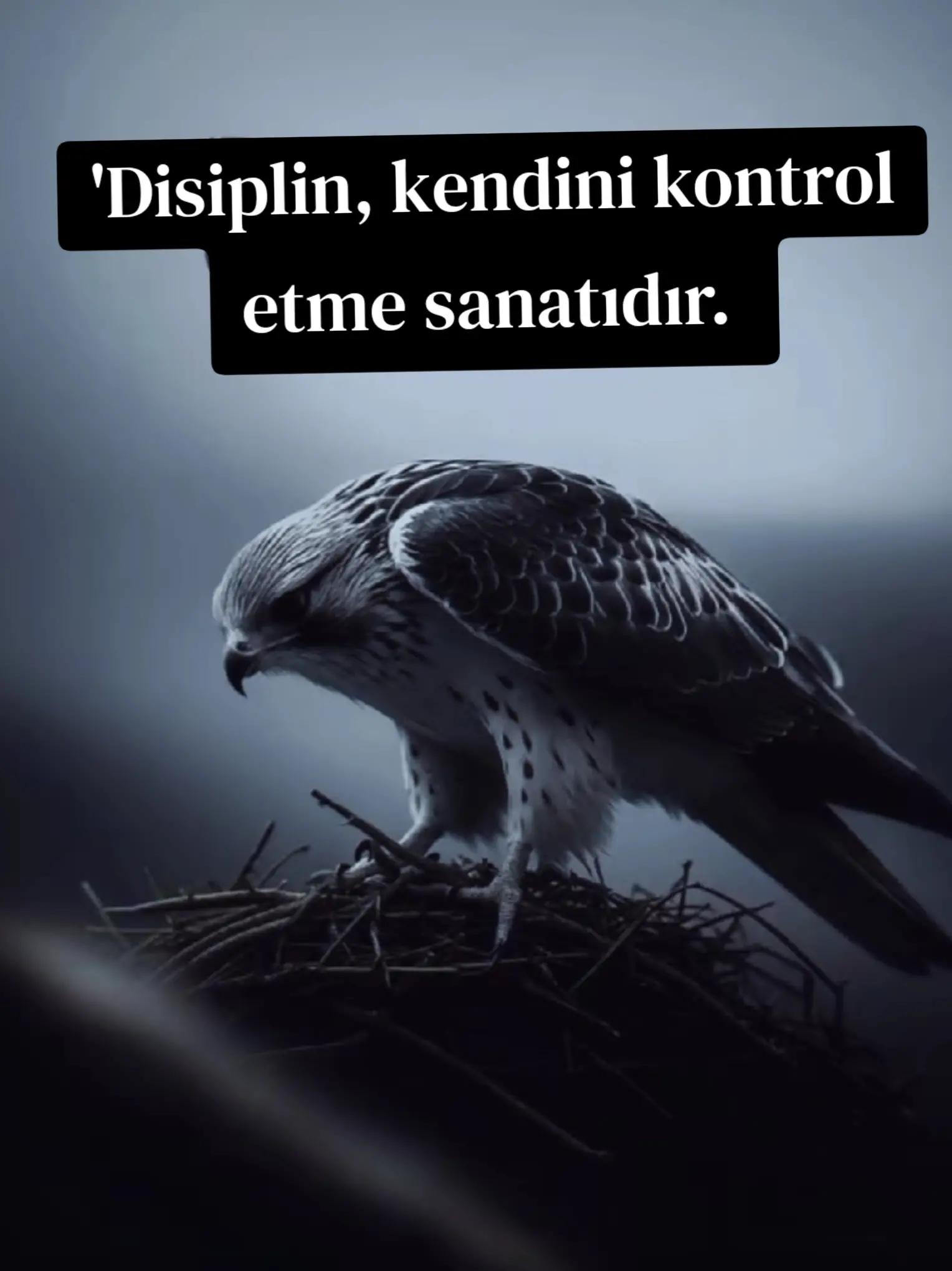 @badboyi019