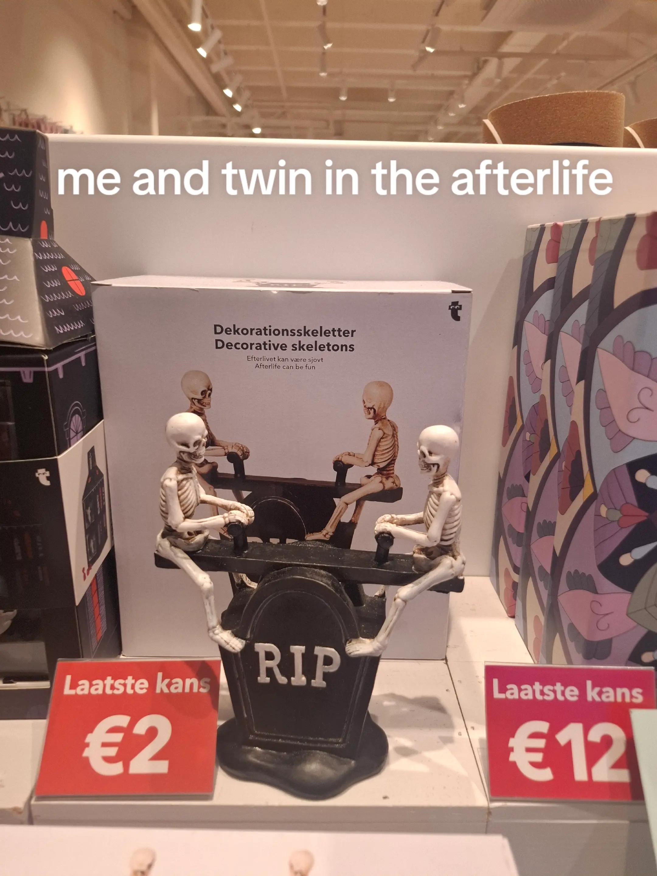 @kitty_siem_|-/