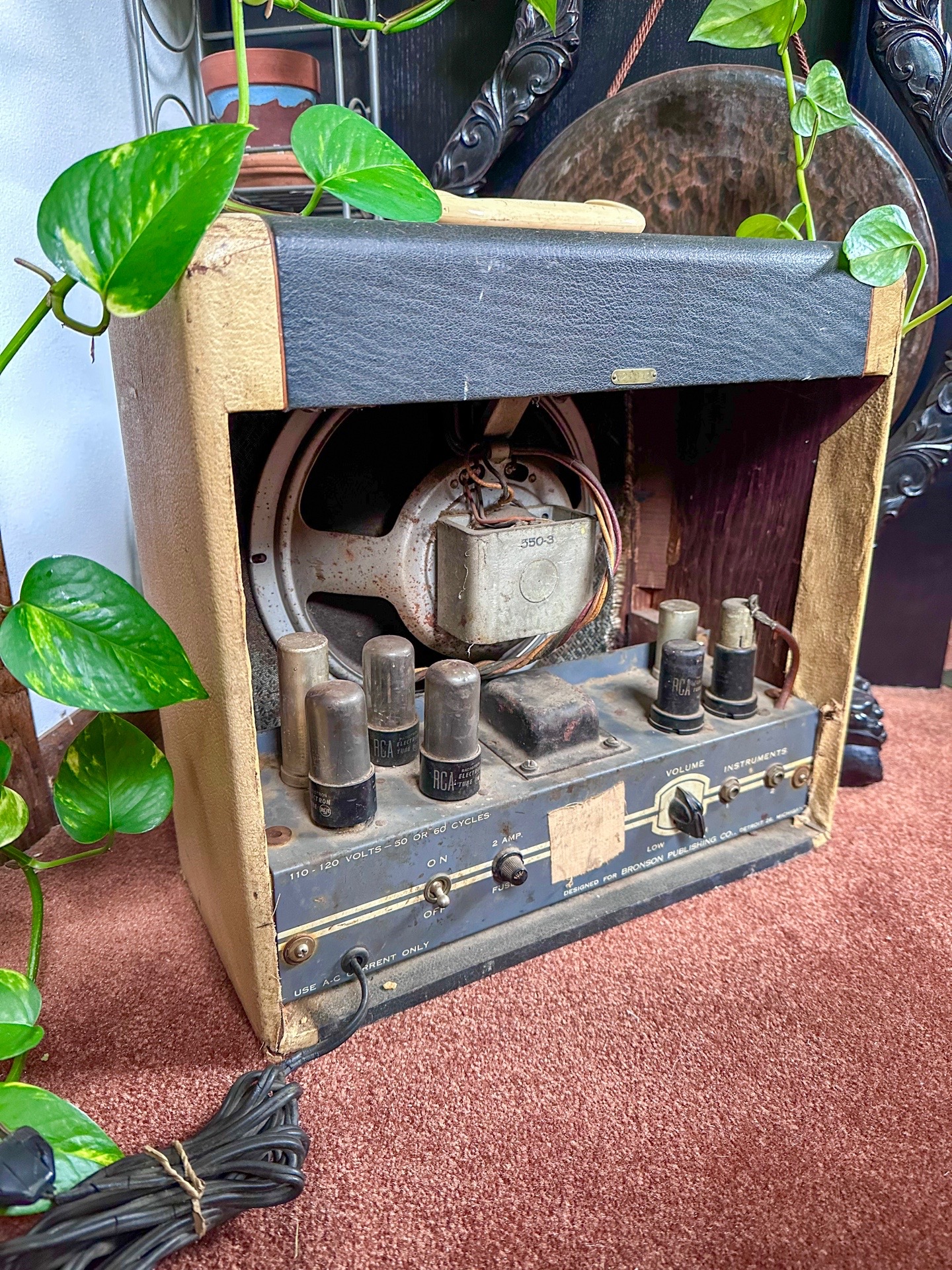 @Miss Shy | Instrument Repair