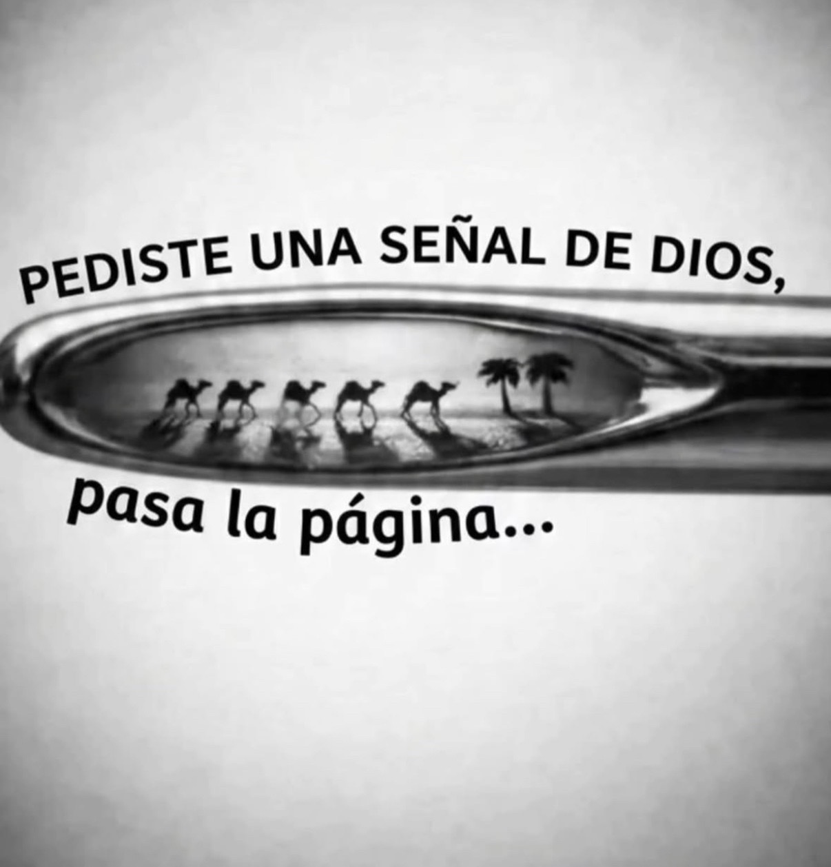 @PenaChJoaqui