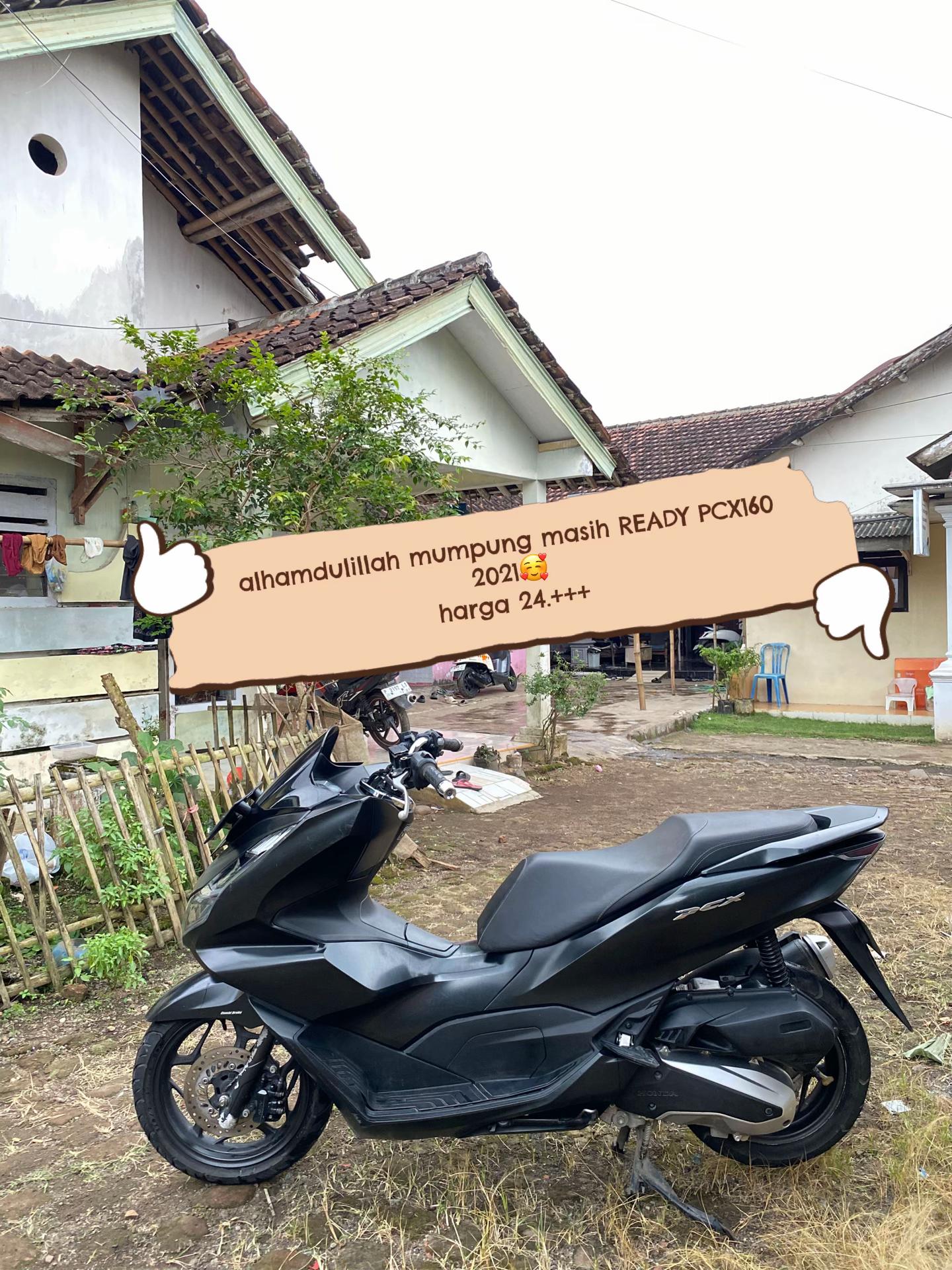 @ebid thole