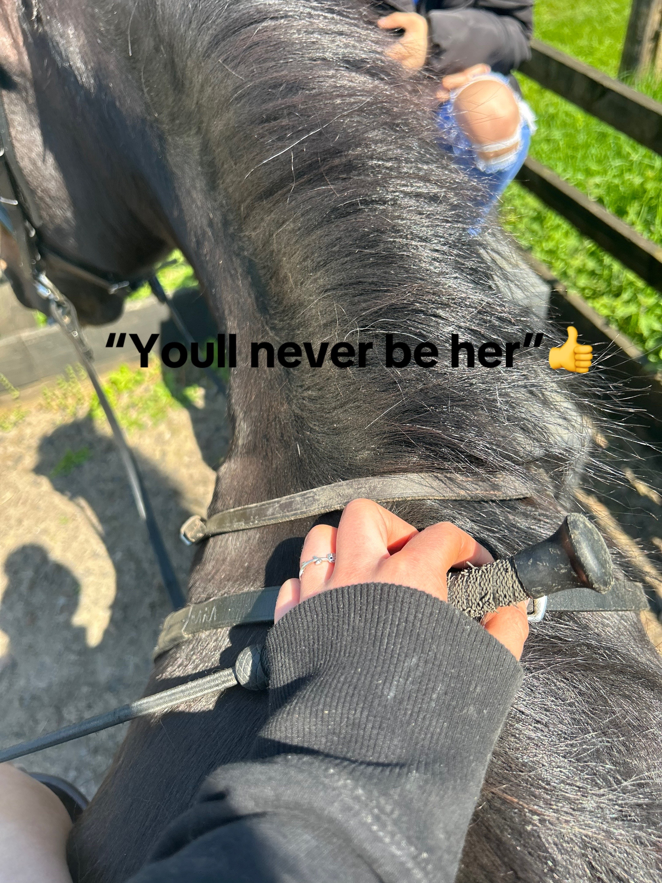 @🌹A