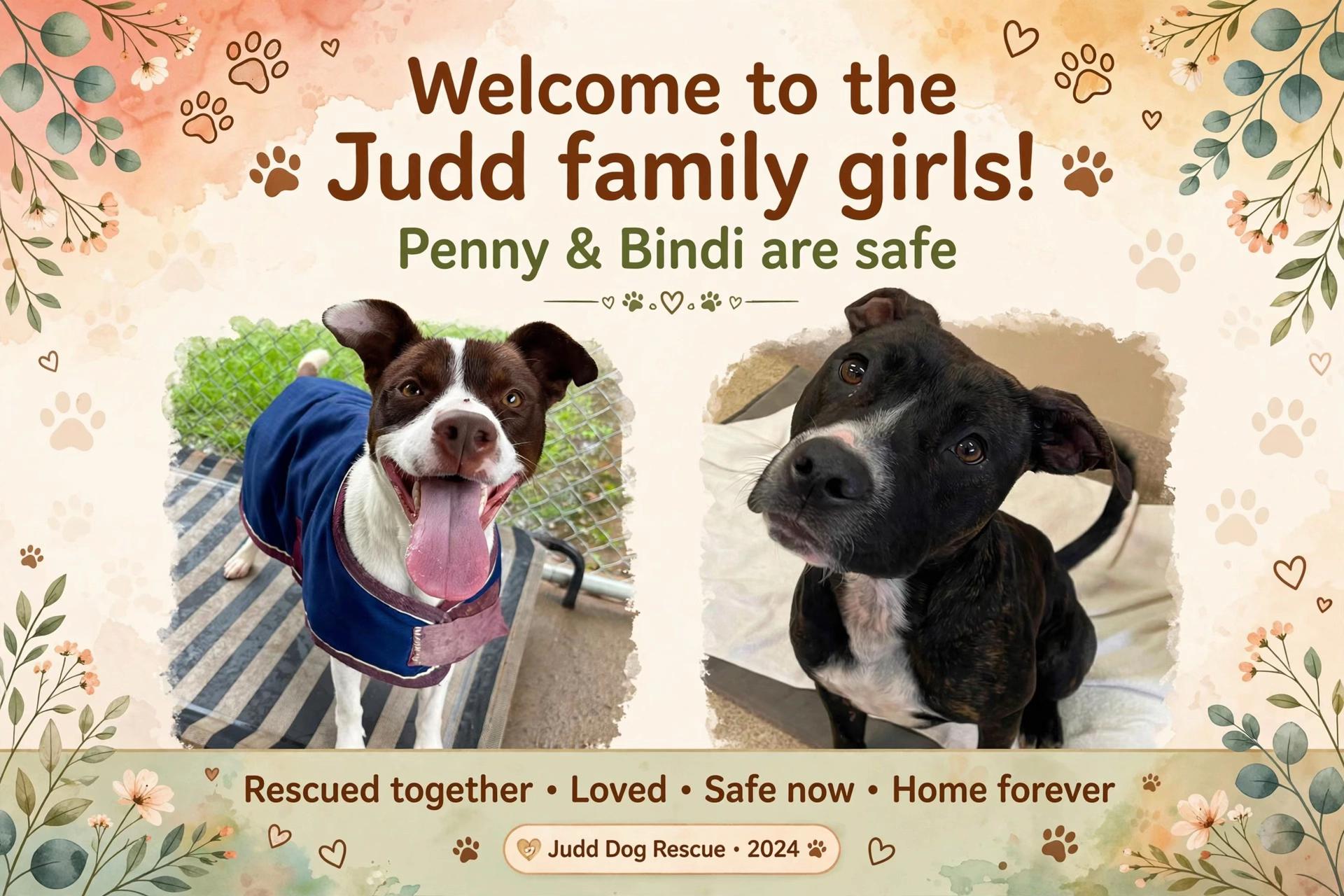 @Judd (just us deserving dogs)
