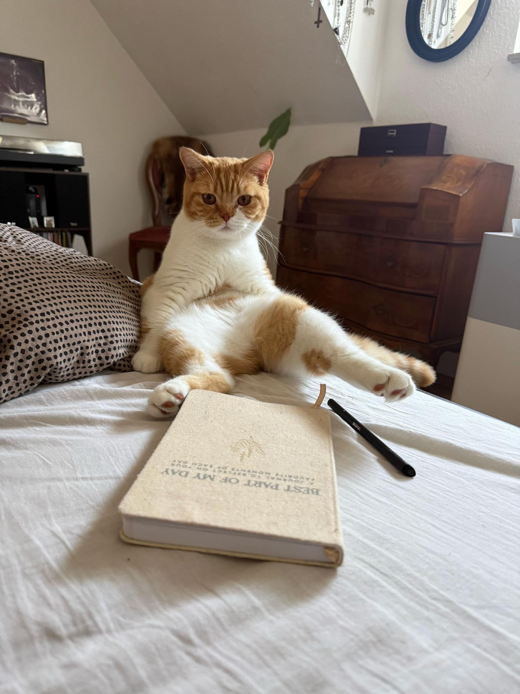 @kat