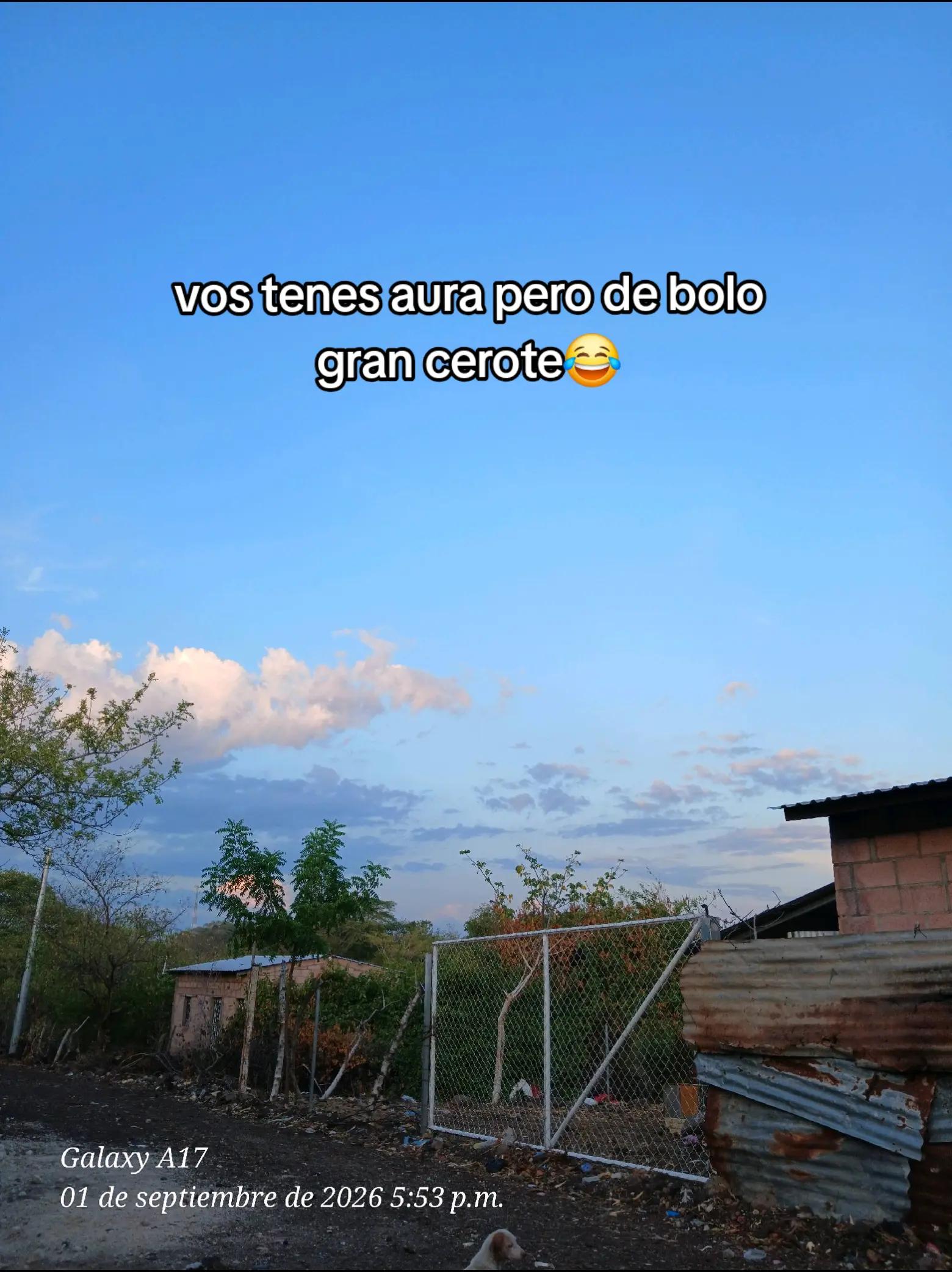 @Martinez503🇸🇻