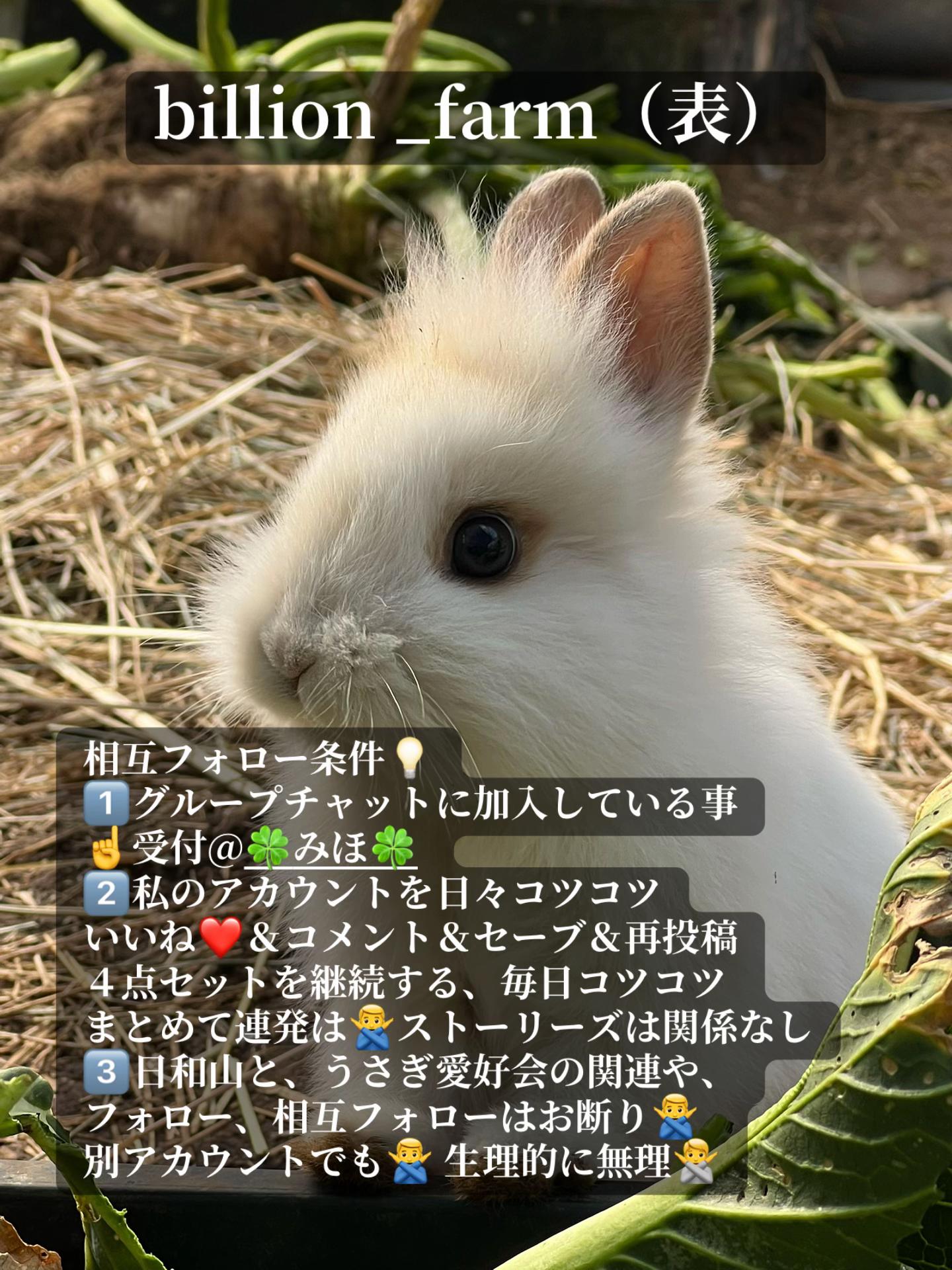 @billion_farm