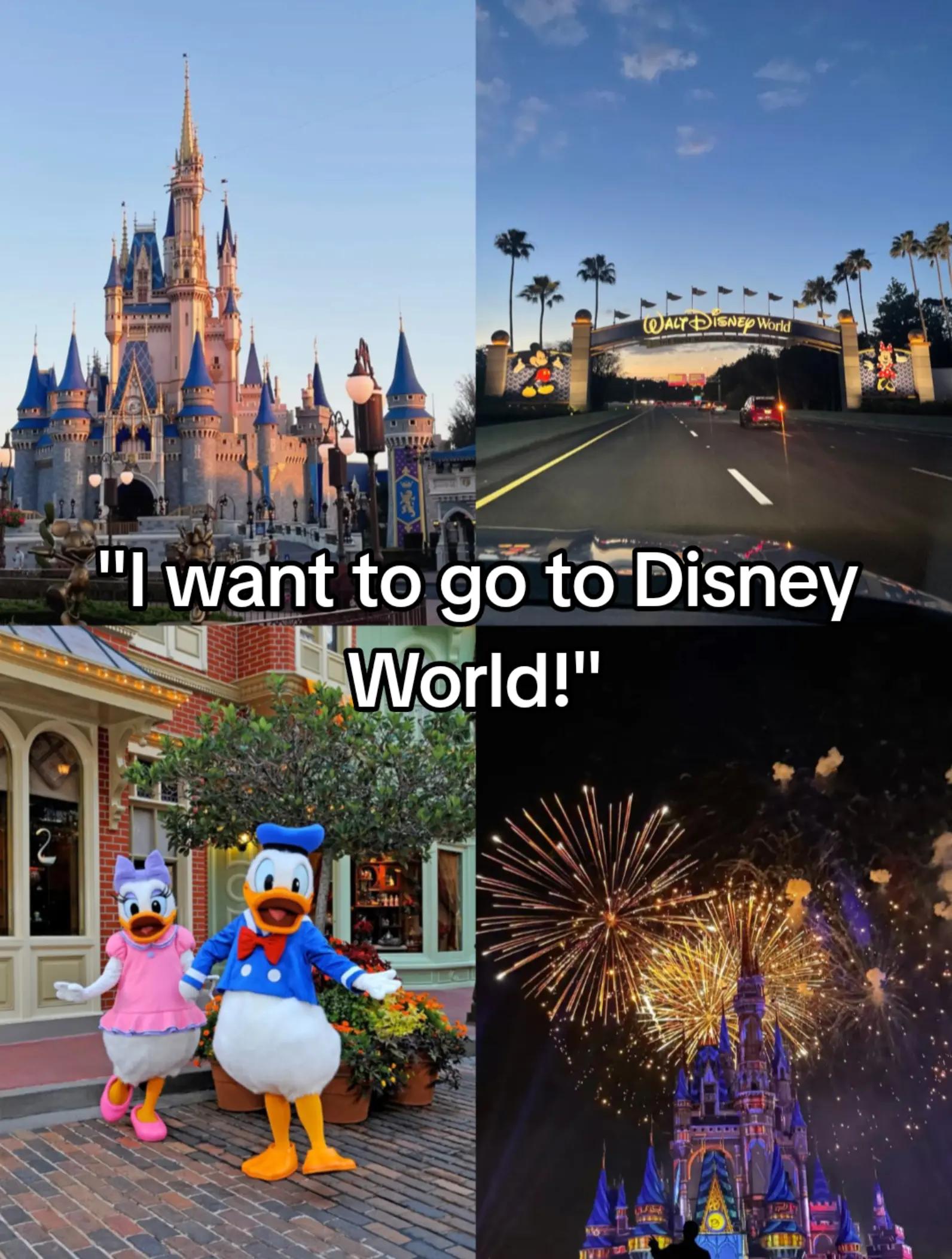 @𝘿𝙤𝙜𝙙𝙖𝙮☆