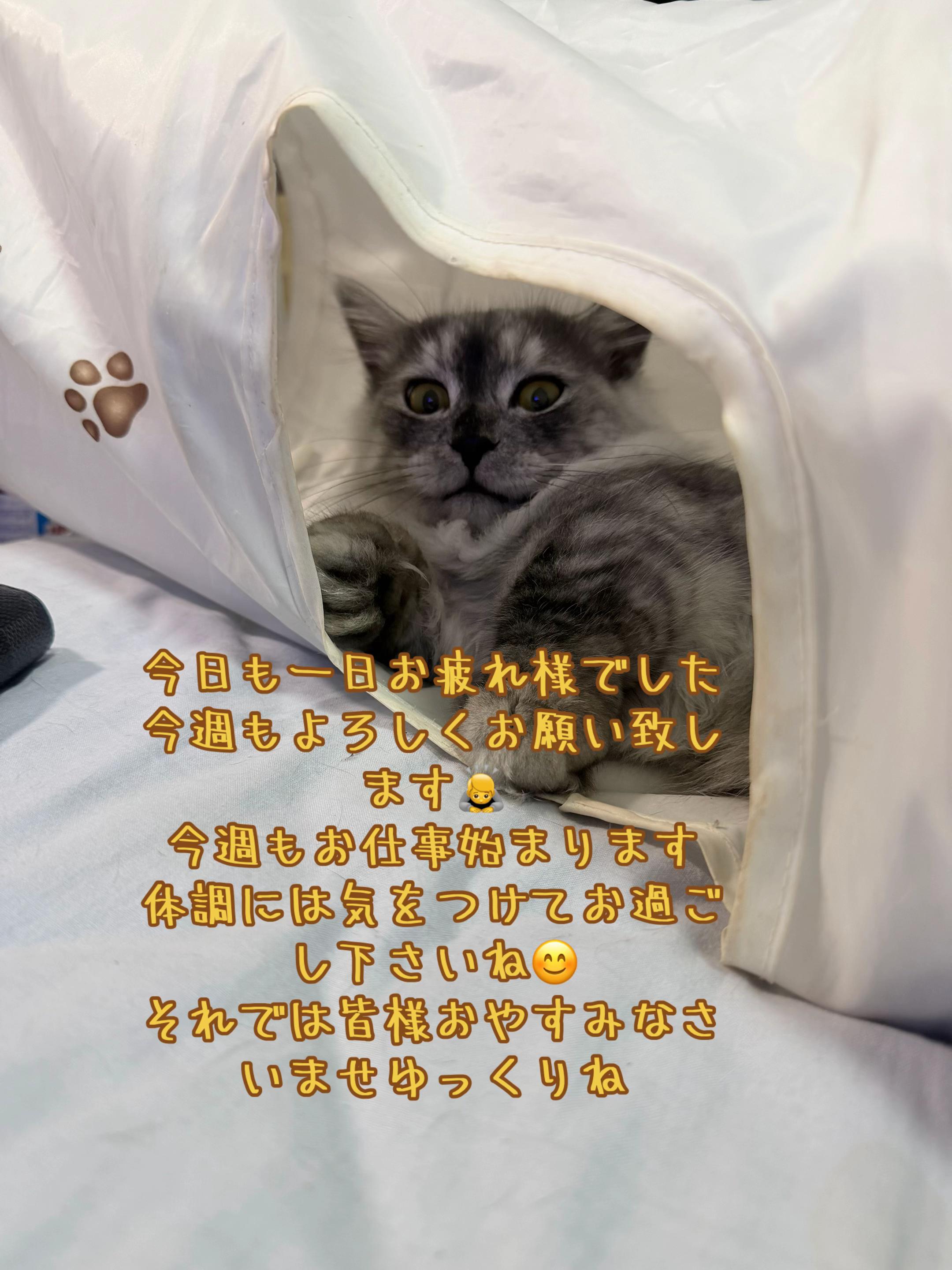 @🥀黒澤正志🥀
