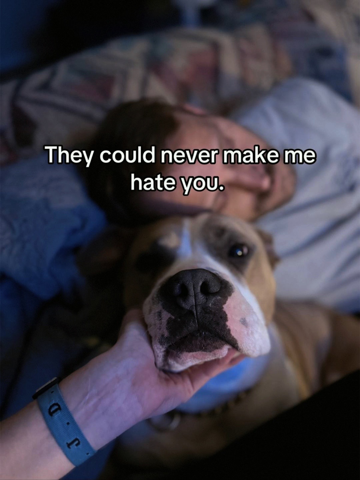 @๐ต๐๐๐ ๐น๐๐๐๐๐แข๐ญฉ
