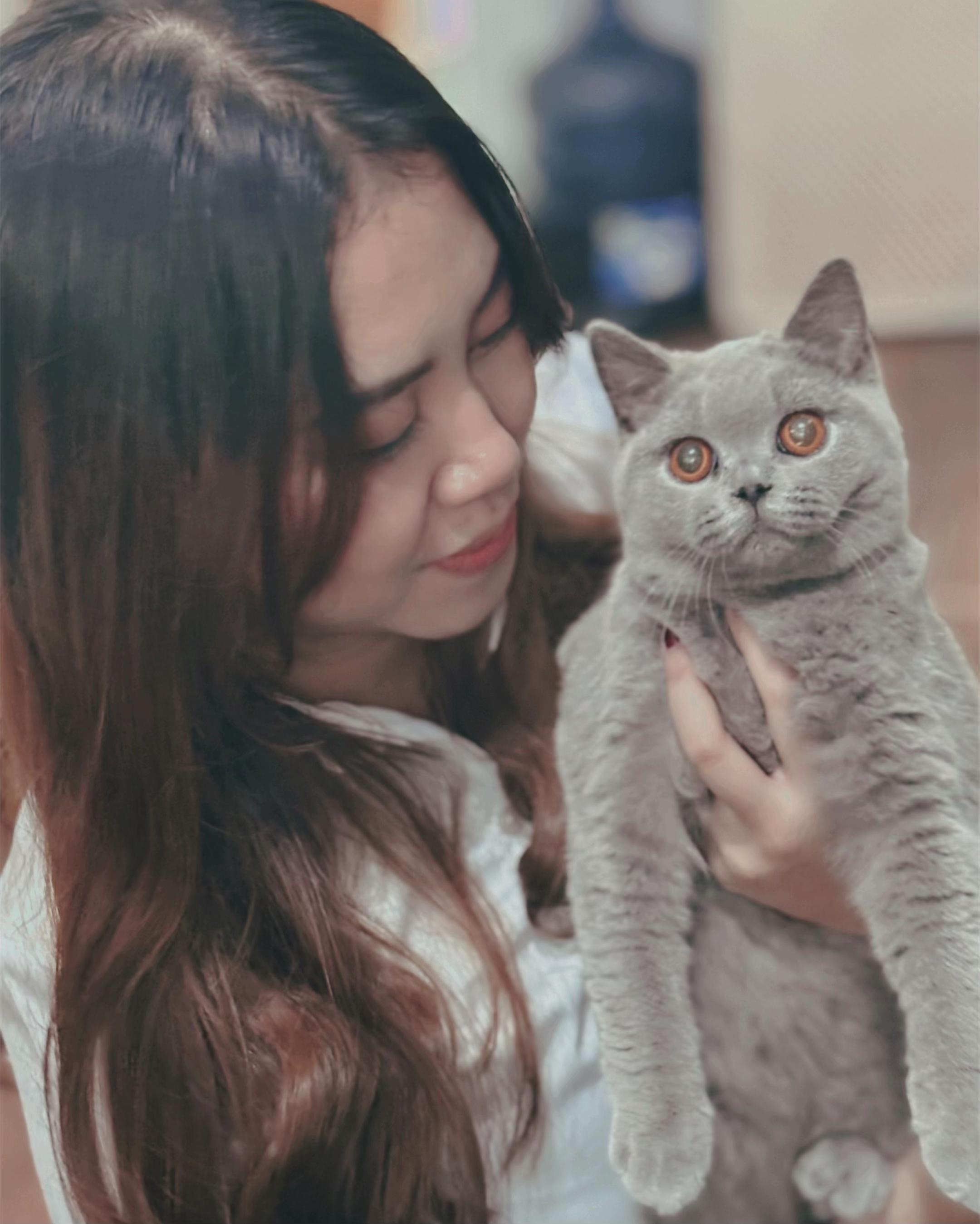 @PETGROW : CAT GROOMING MALANG
