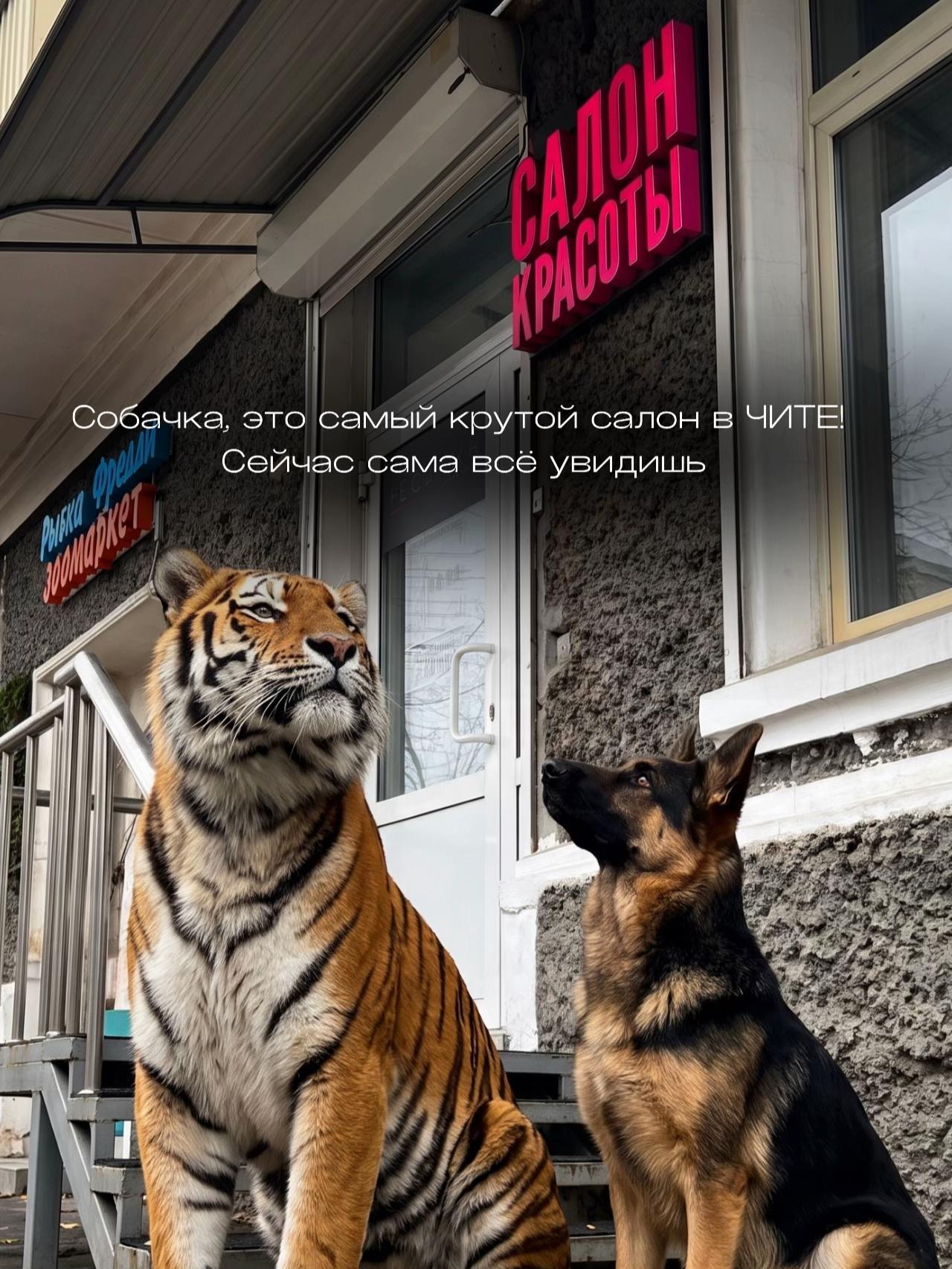 @пространство НЕСАЛОН