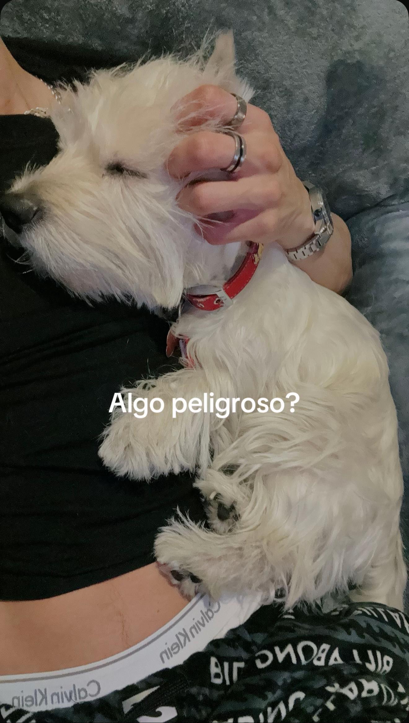 @Fabrizio_Espino