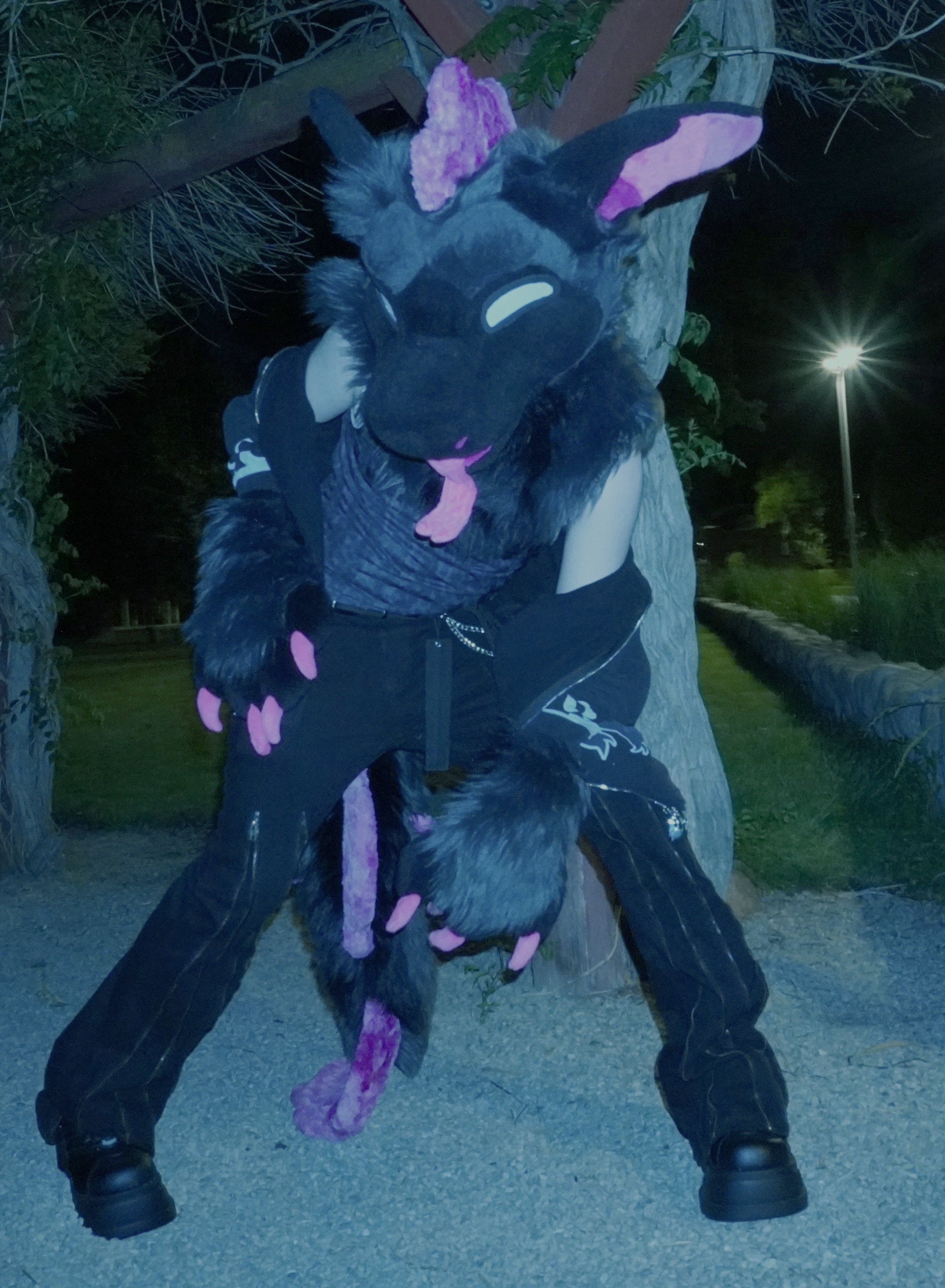 @pawbuttt🔜 MFF