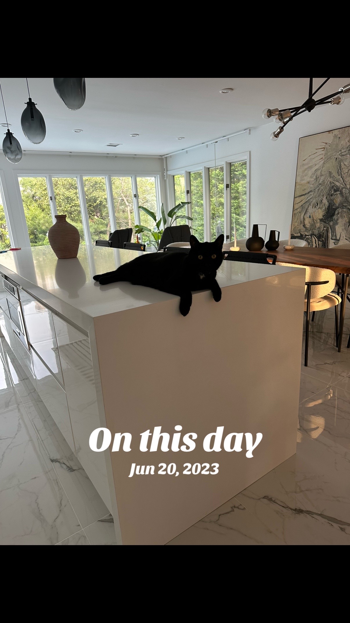 @Oscar Jeremy the cat!