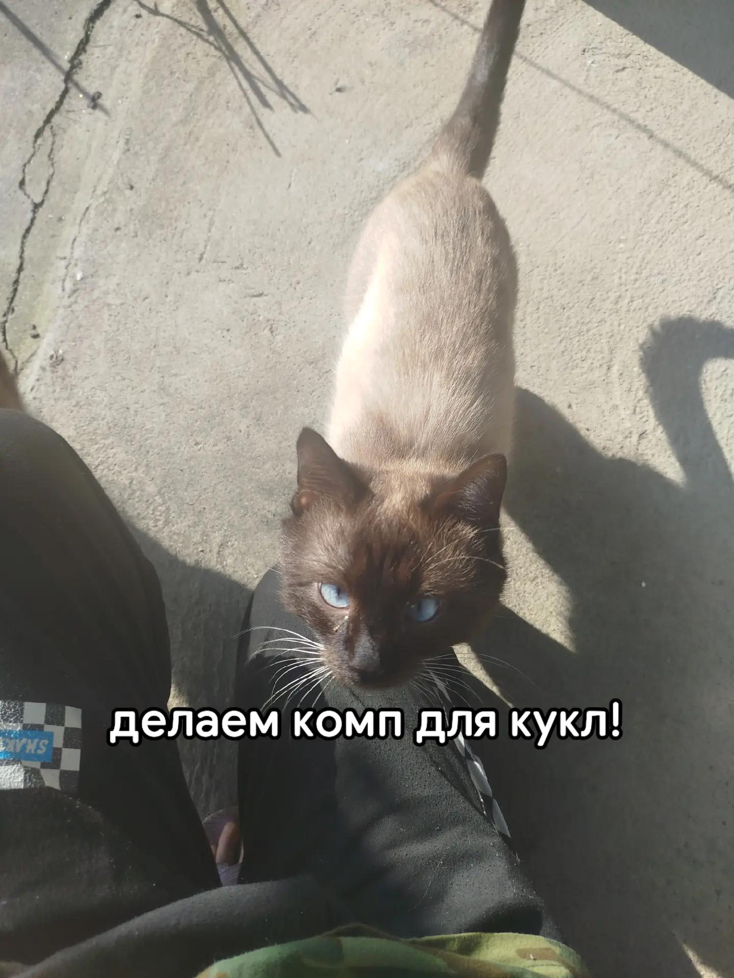 @Кукла