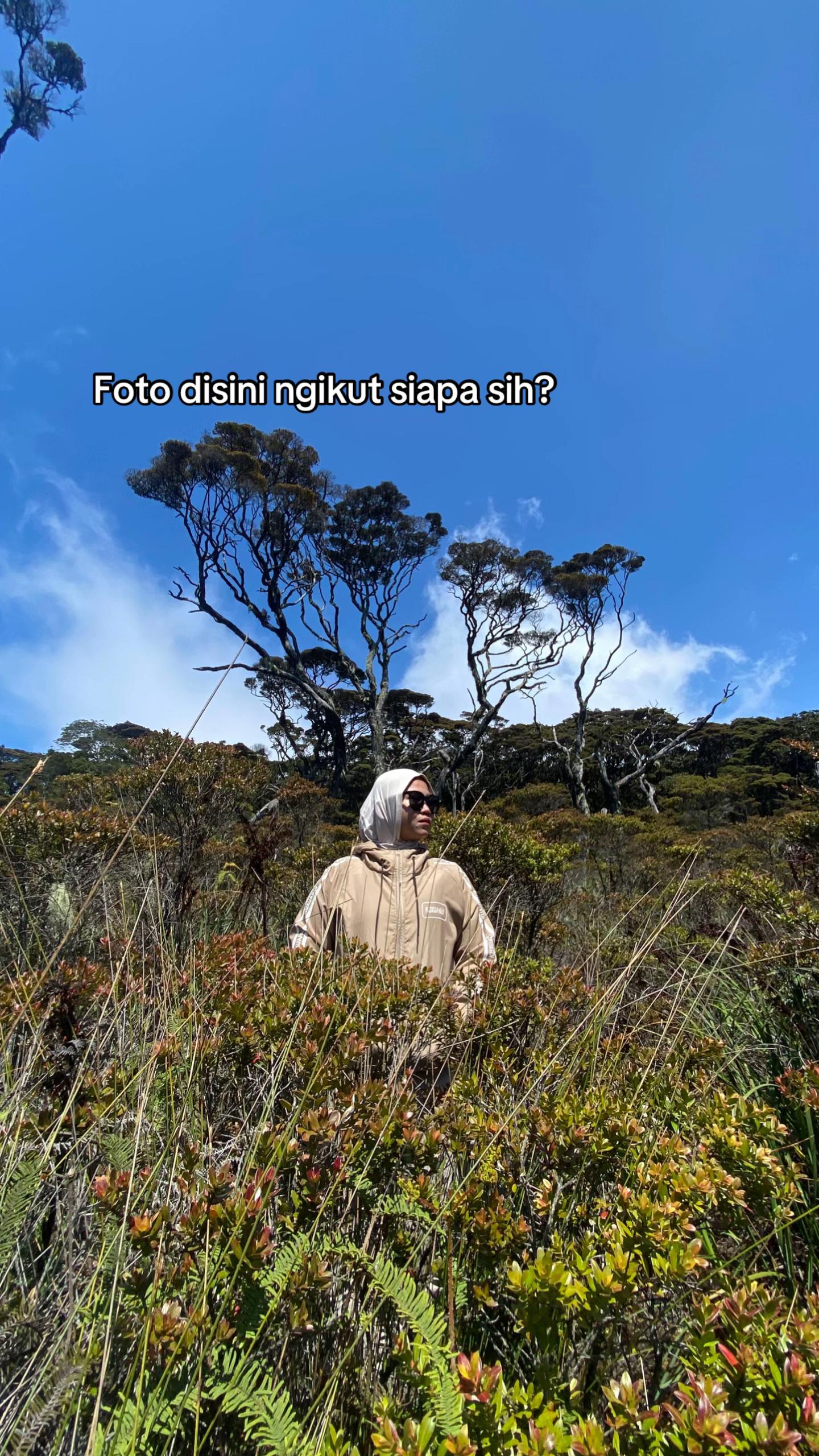 @slmaaaaaa
