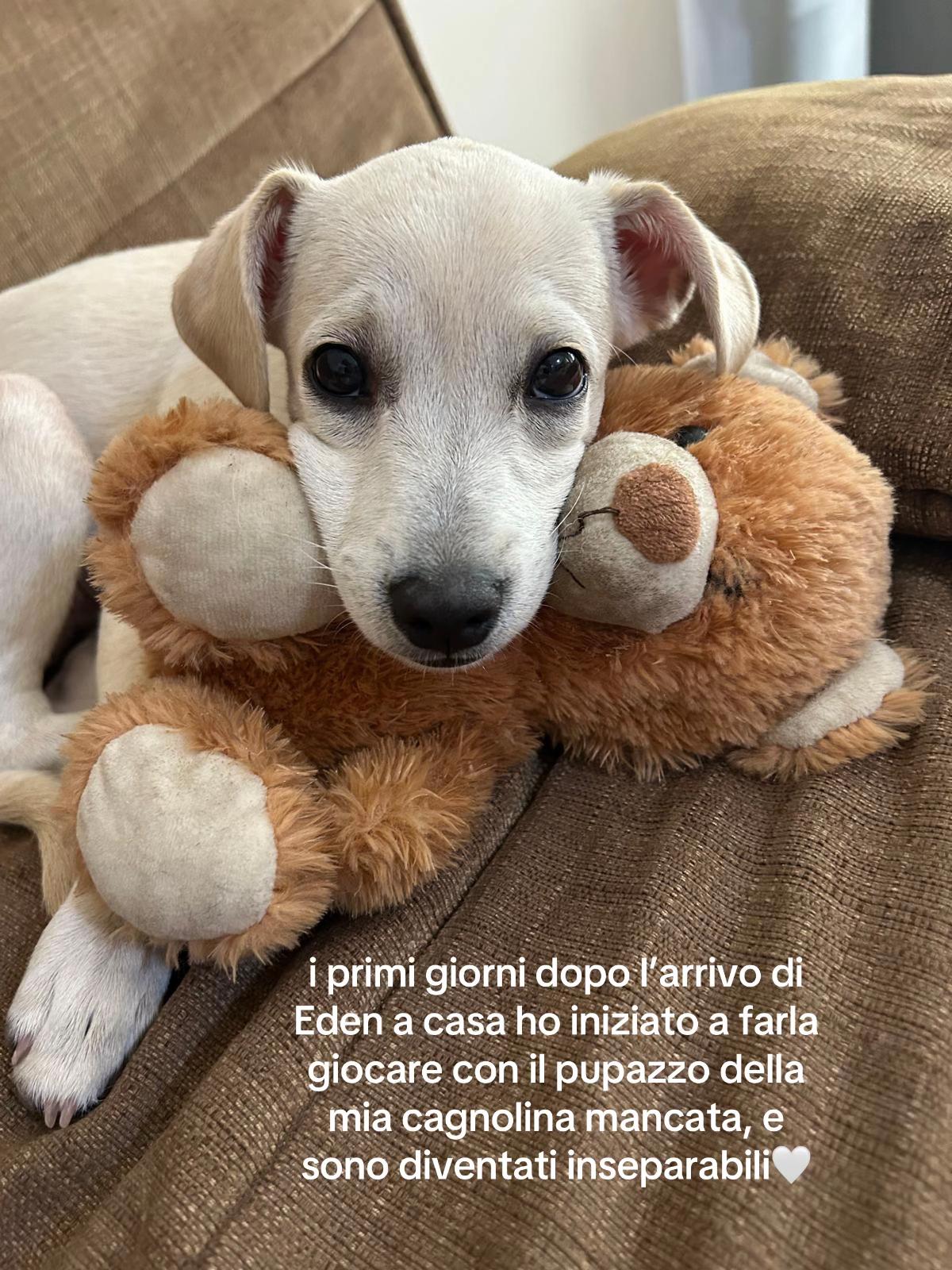 @_ludofica_