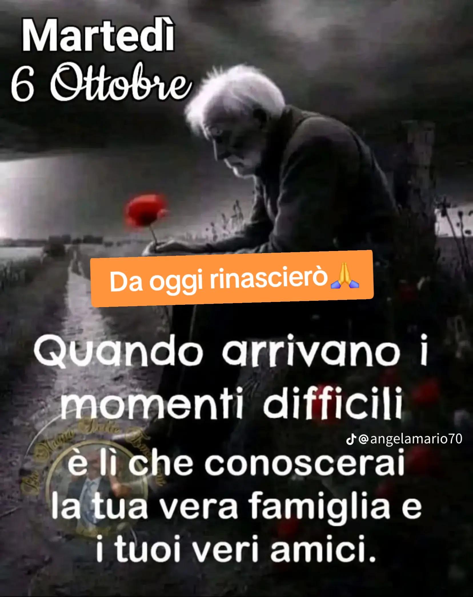 @Federico Beatrice 7