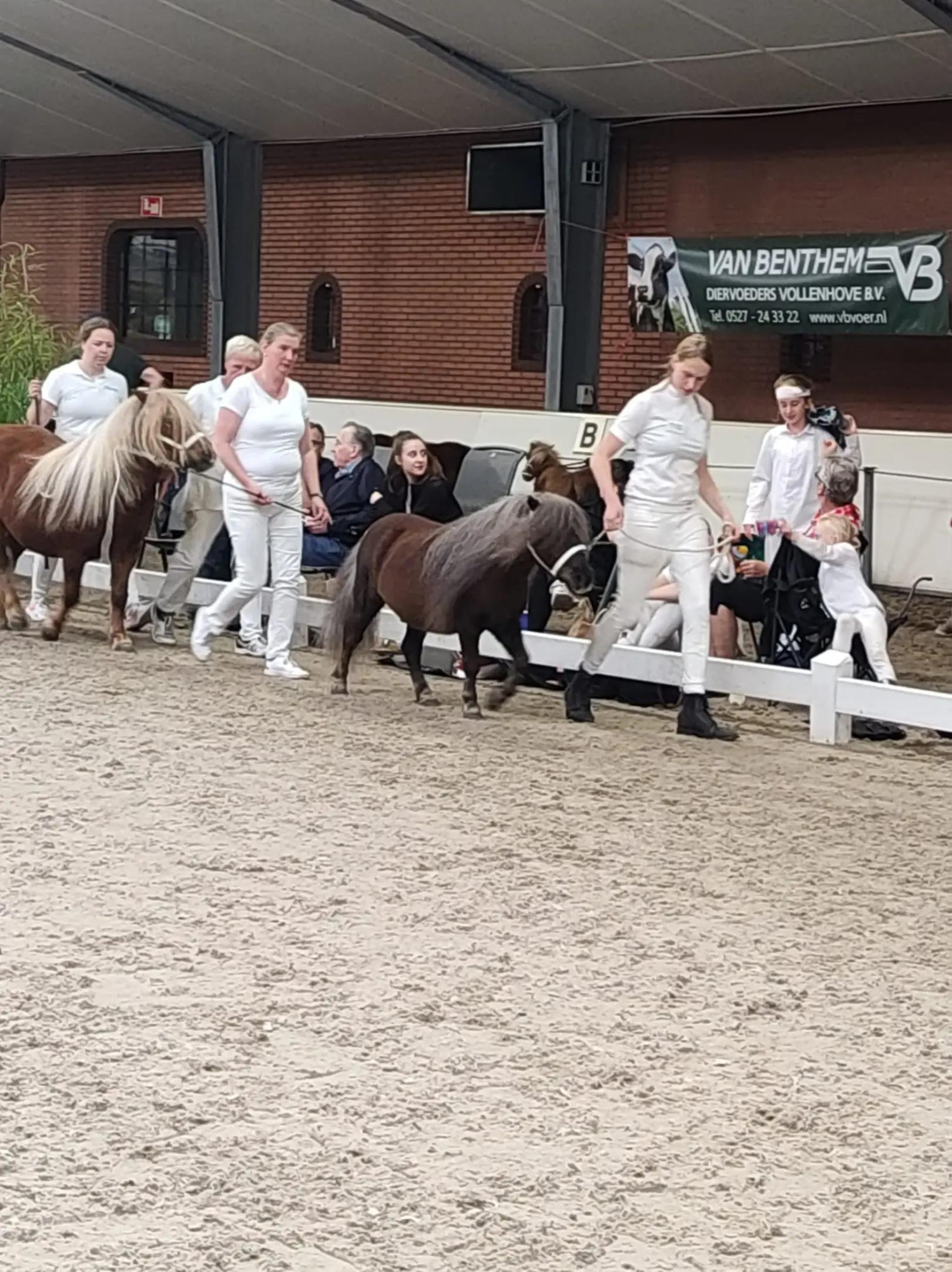 @the fanny's ranch (nsps)