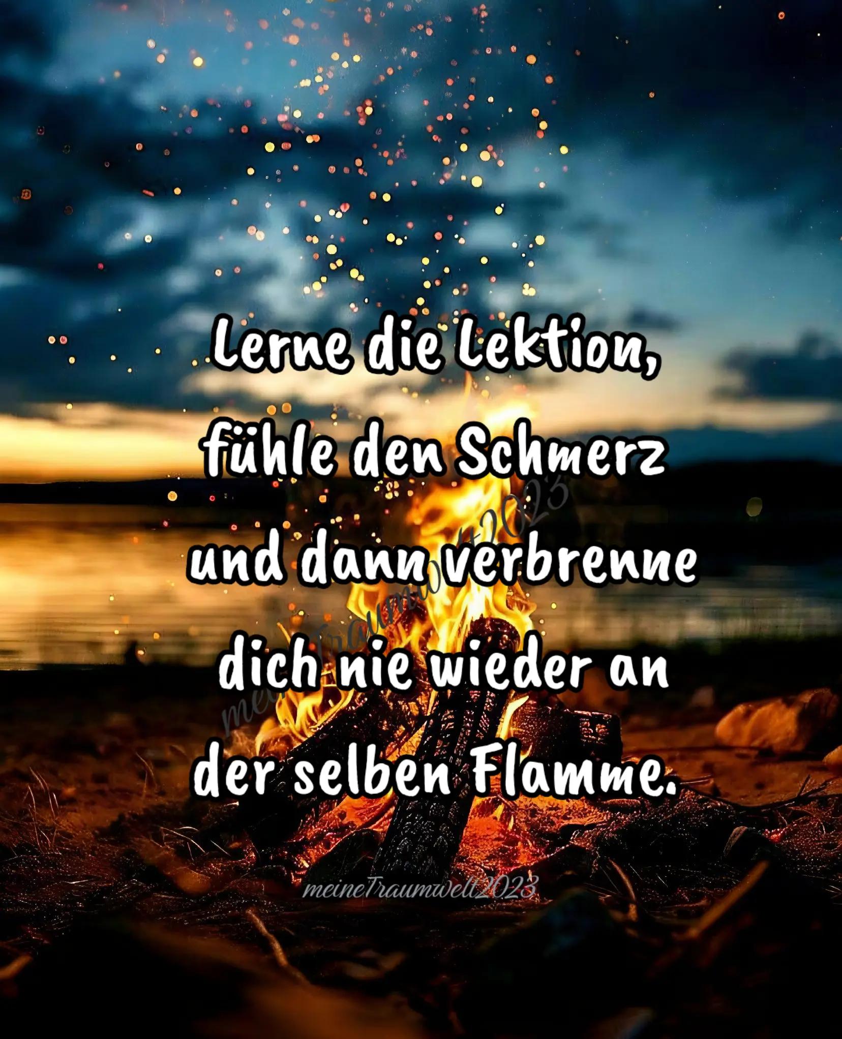 @meineTraumwelt2023