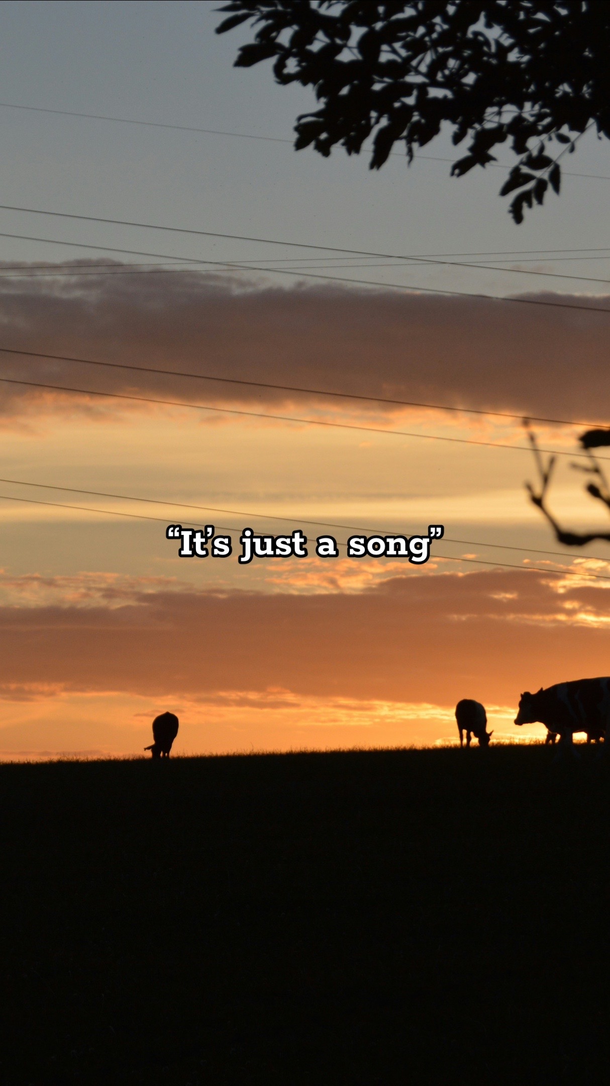 @Sad Cowboy Music