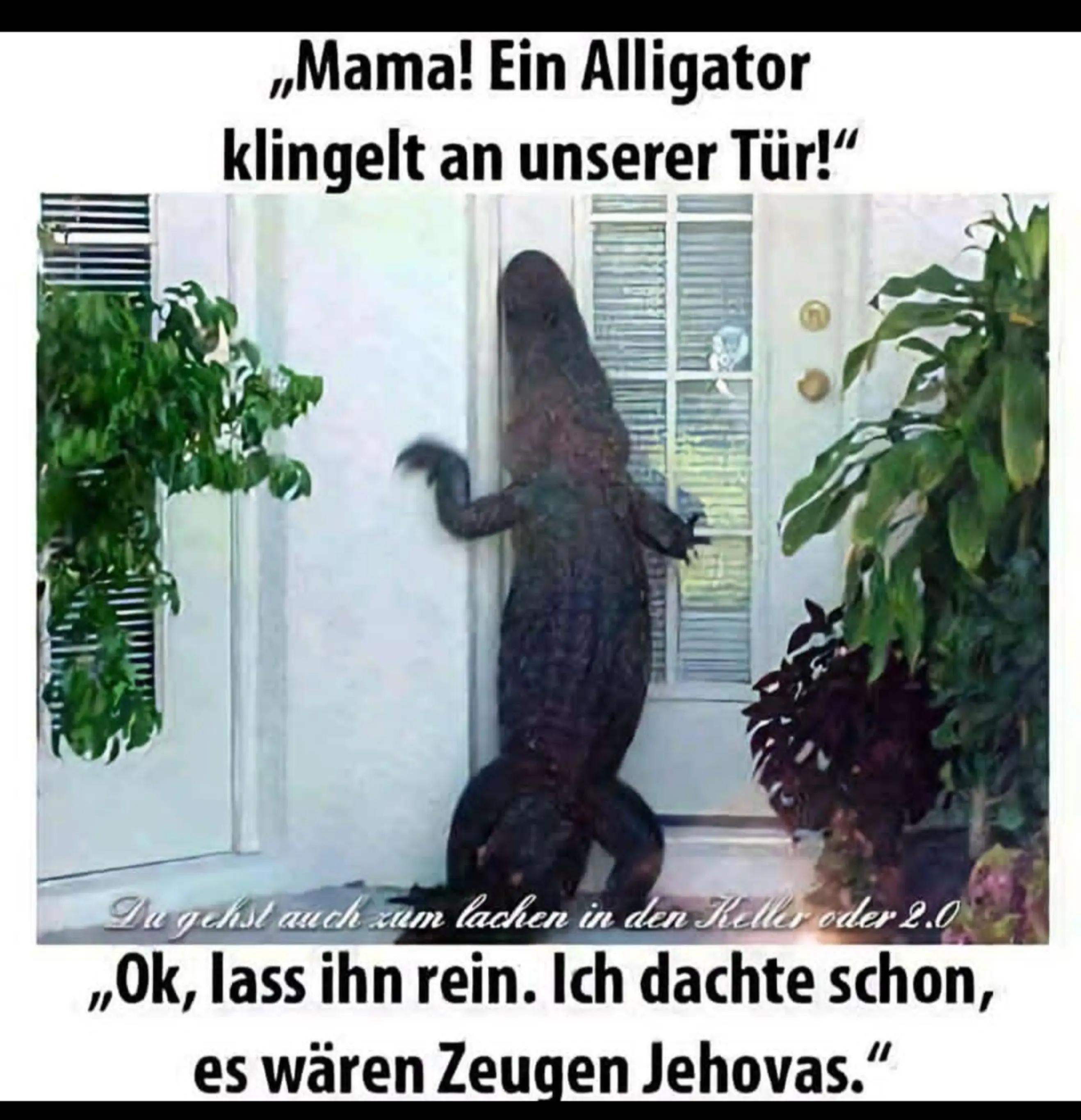 @Ruhepohl 🙏🏻🤪