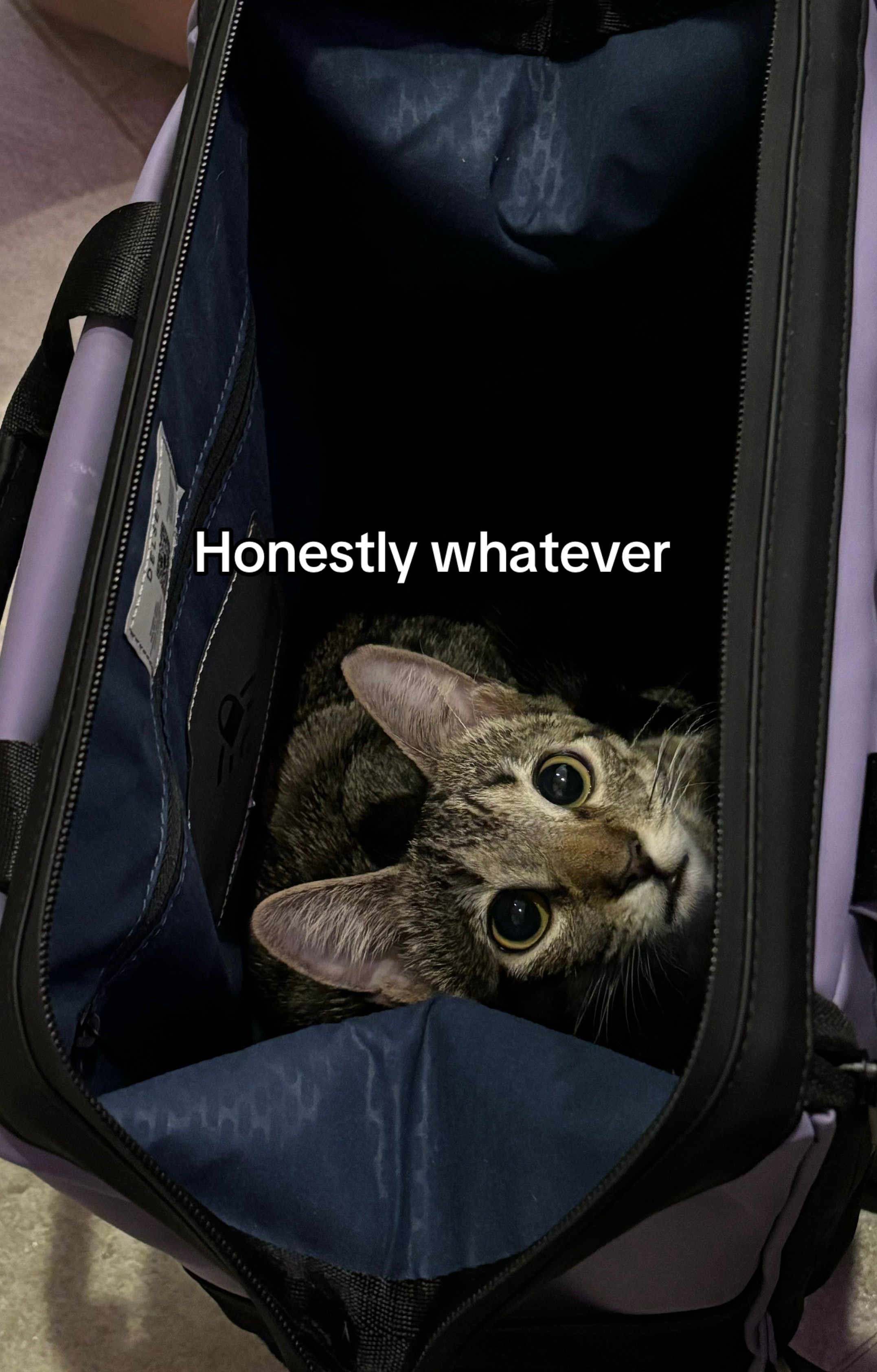 @mars