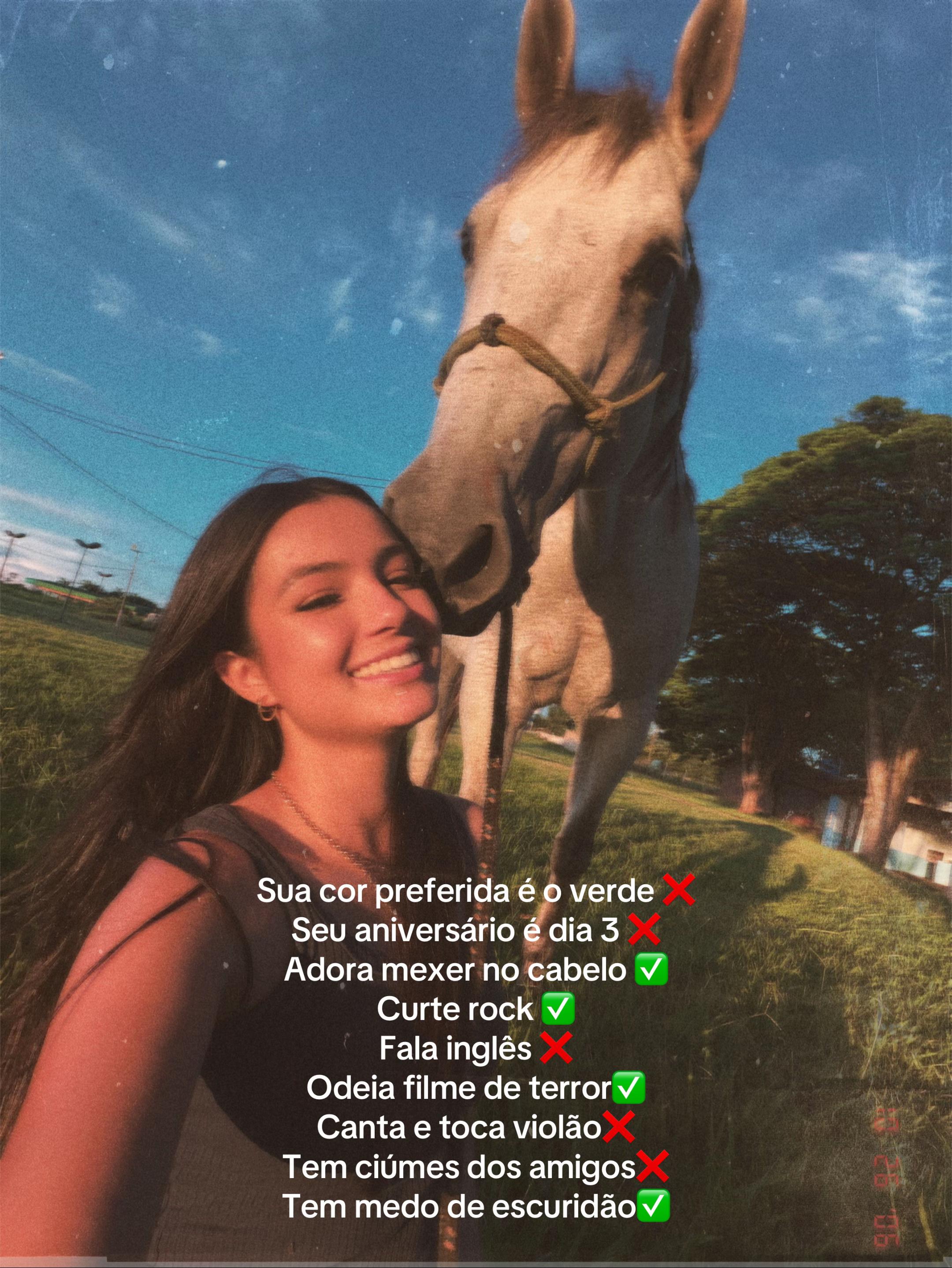 @Luisa Saito