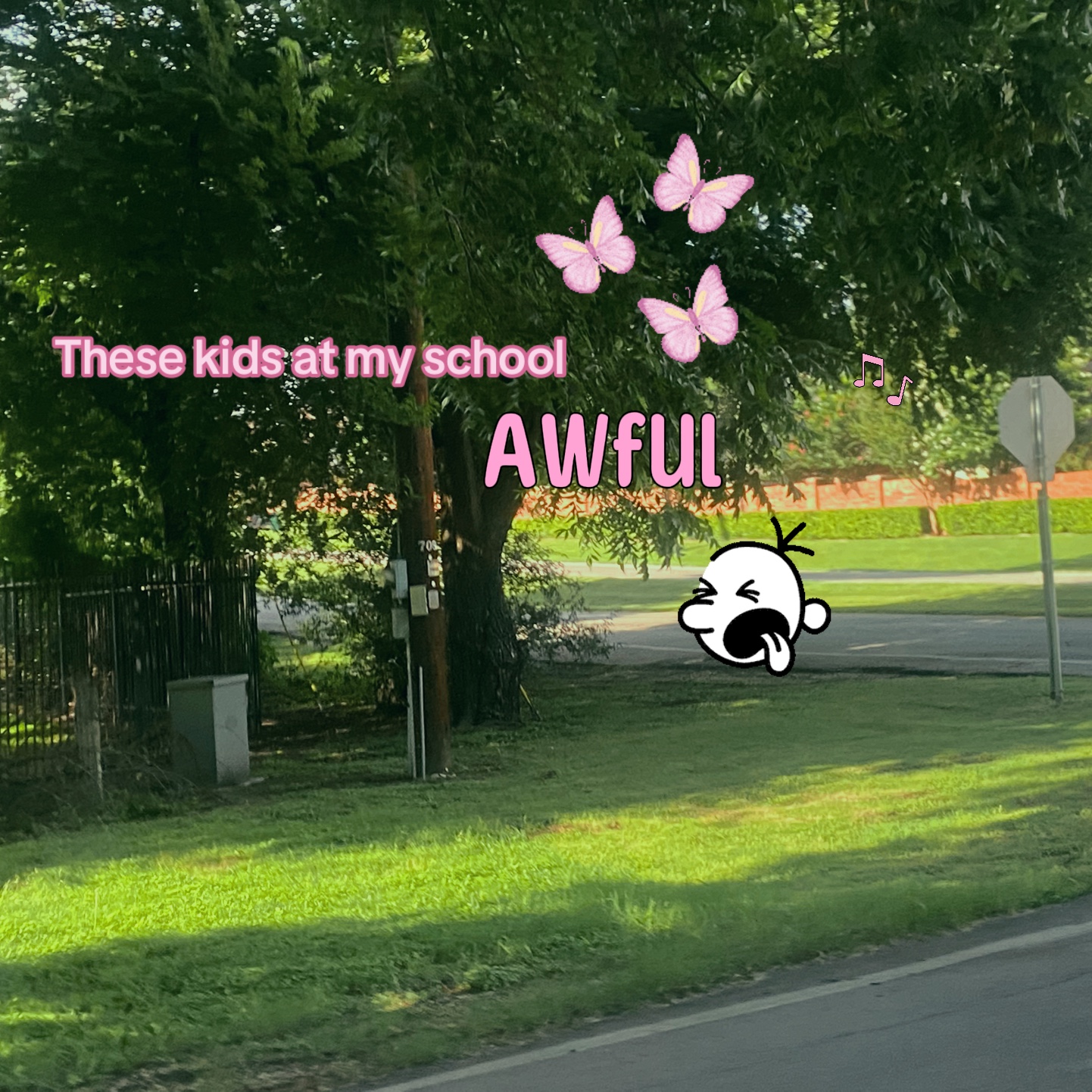 @M¥å🌺