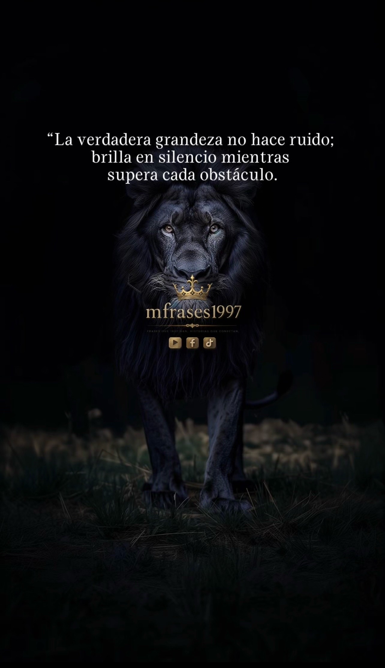 @Mfrases1