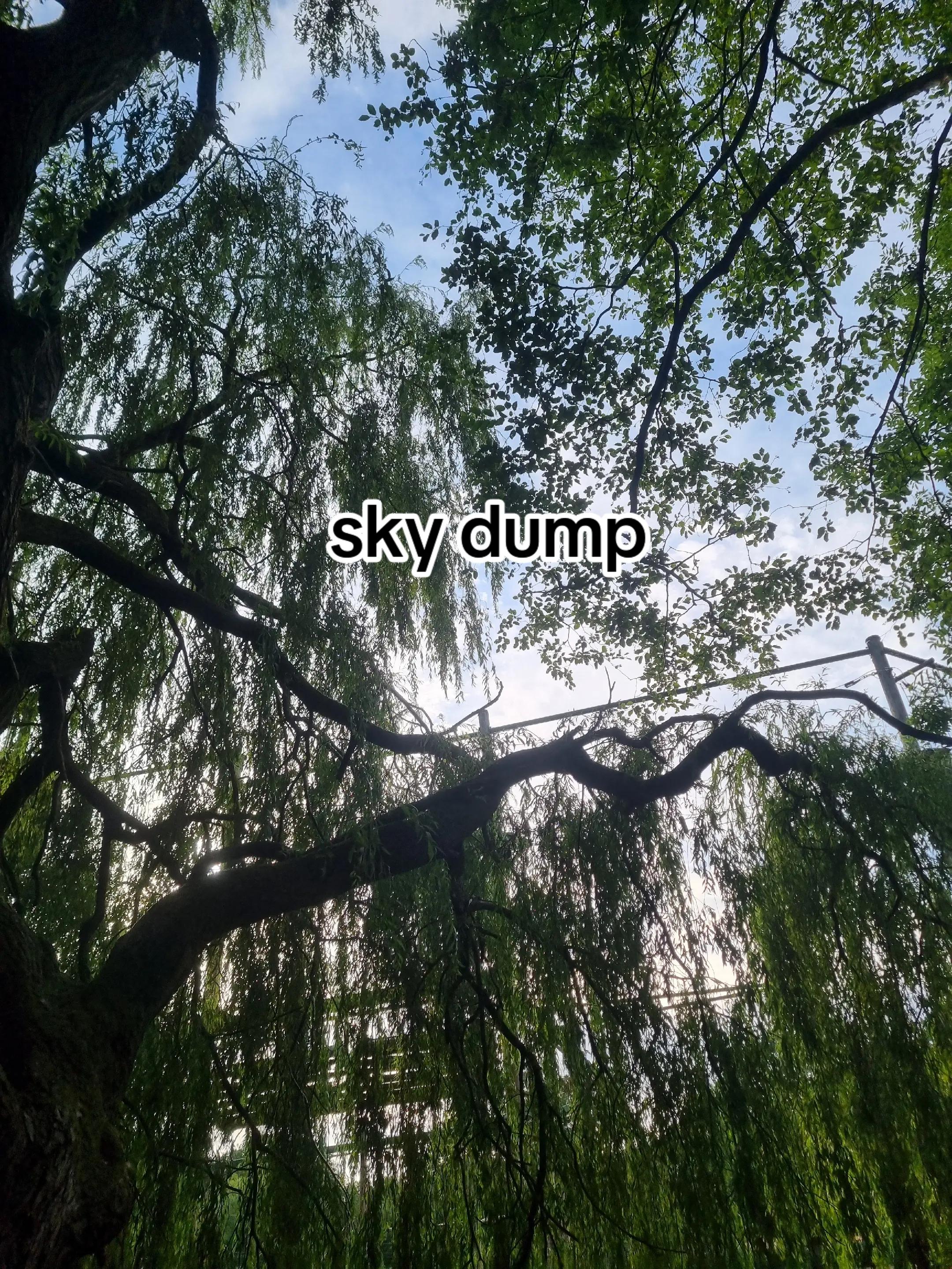 @ishy
