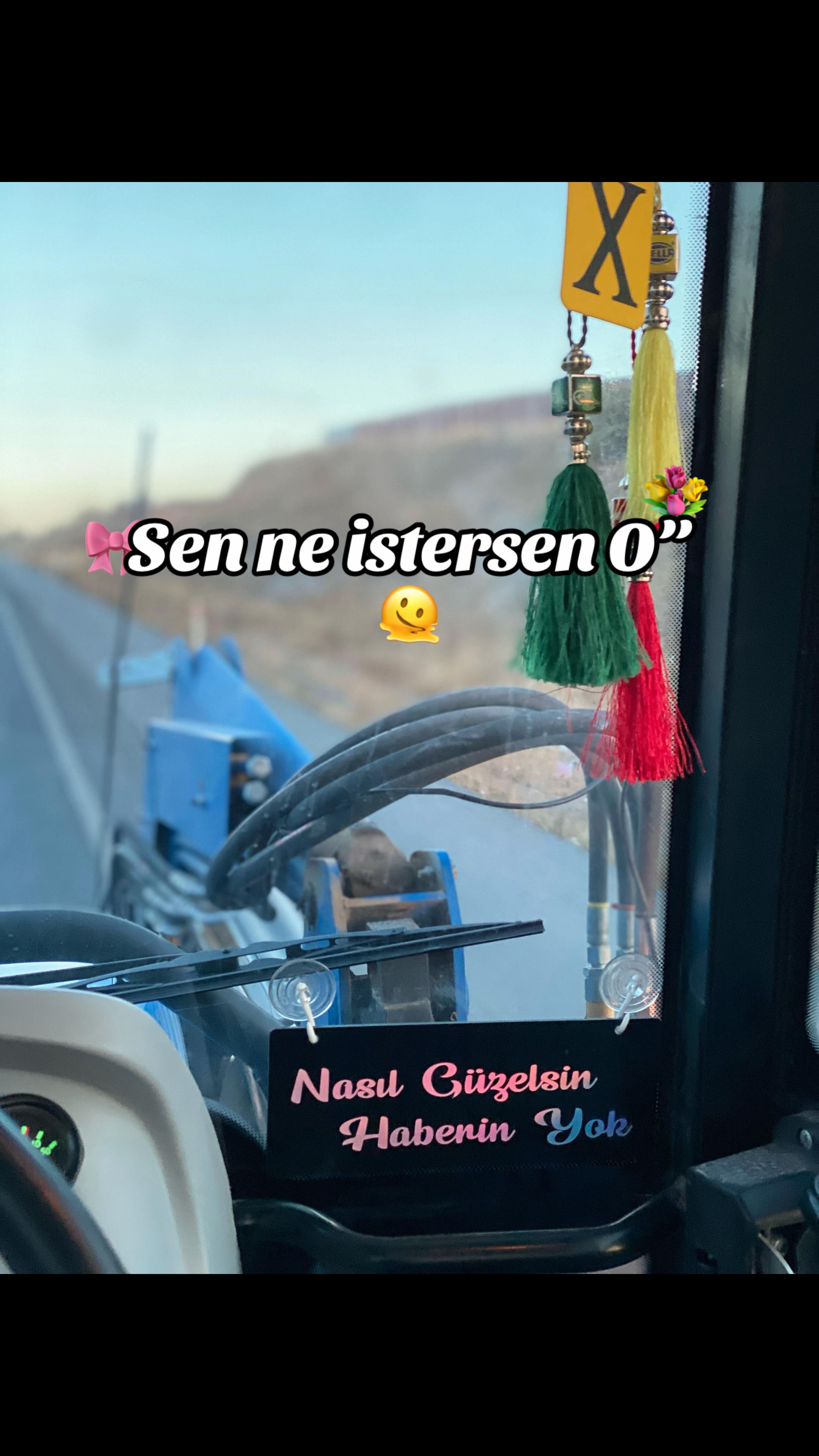 @Mehmet Altunok