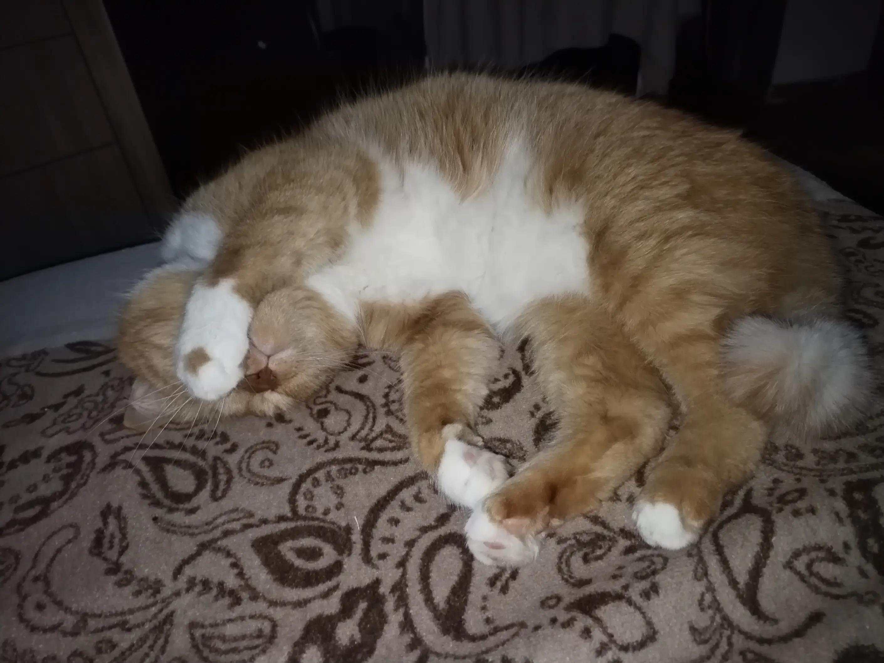 @◕‿◕✿