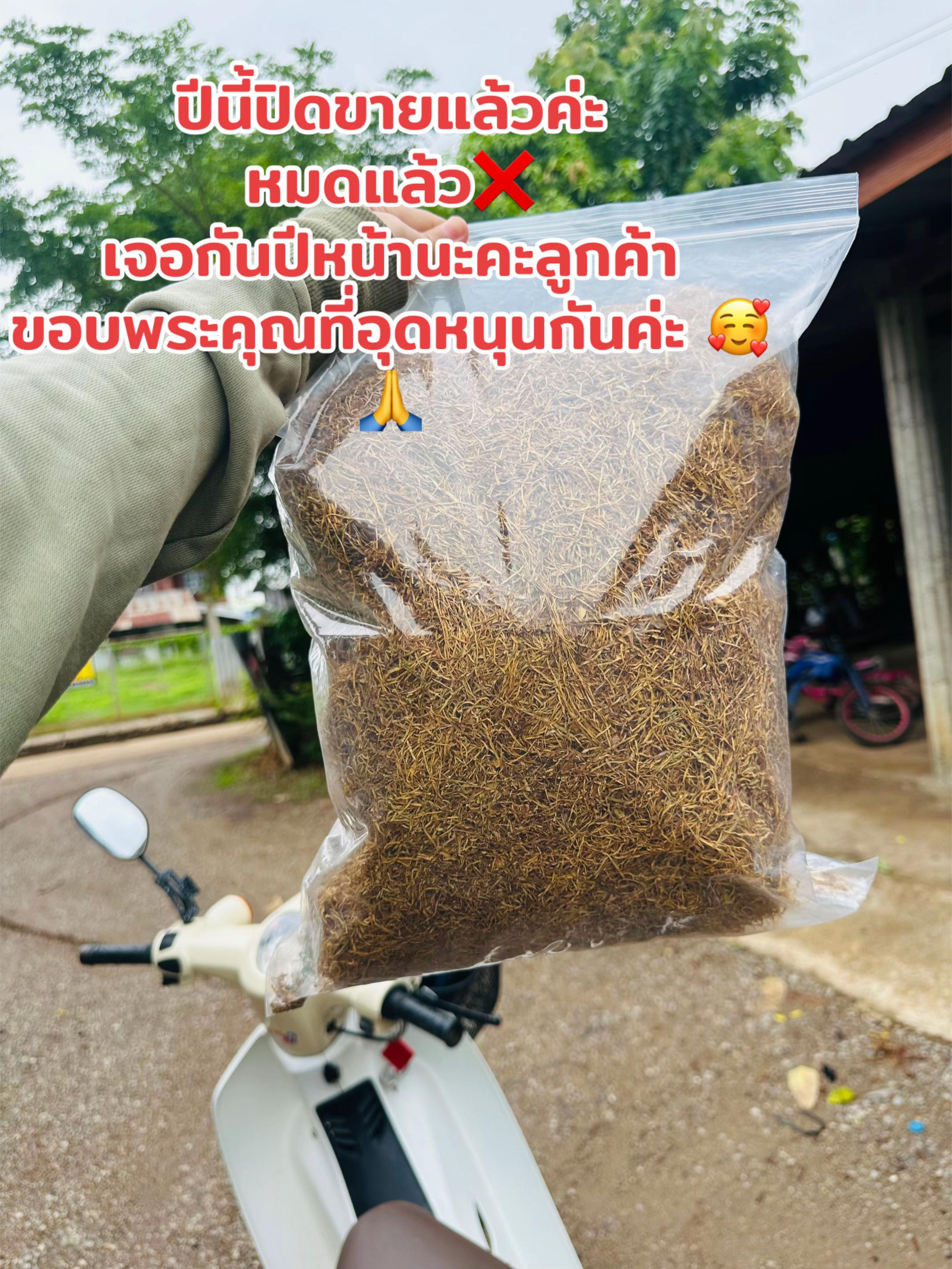 @BBmaneerat🐝