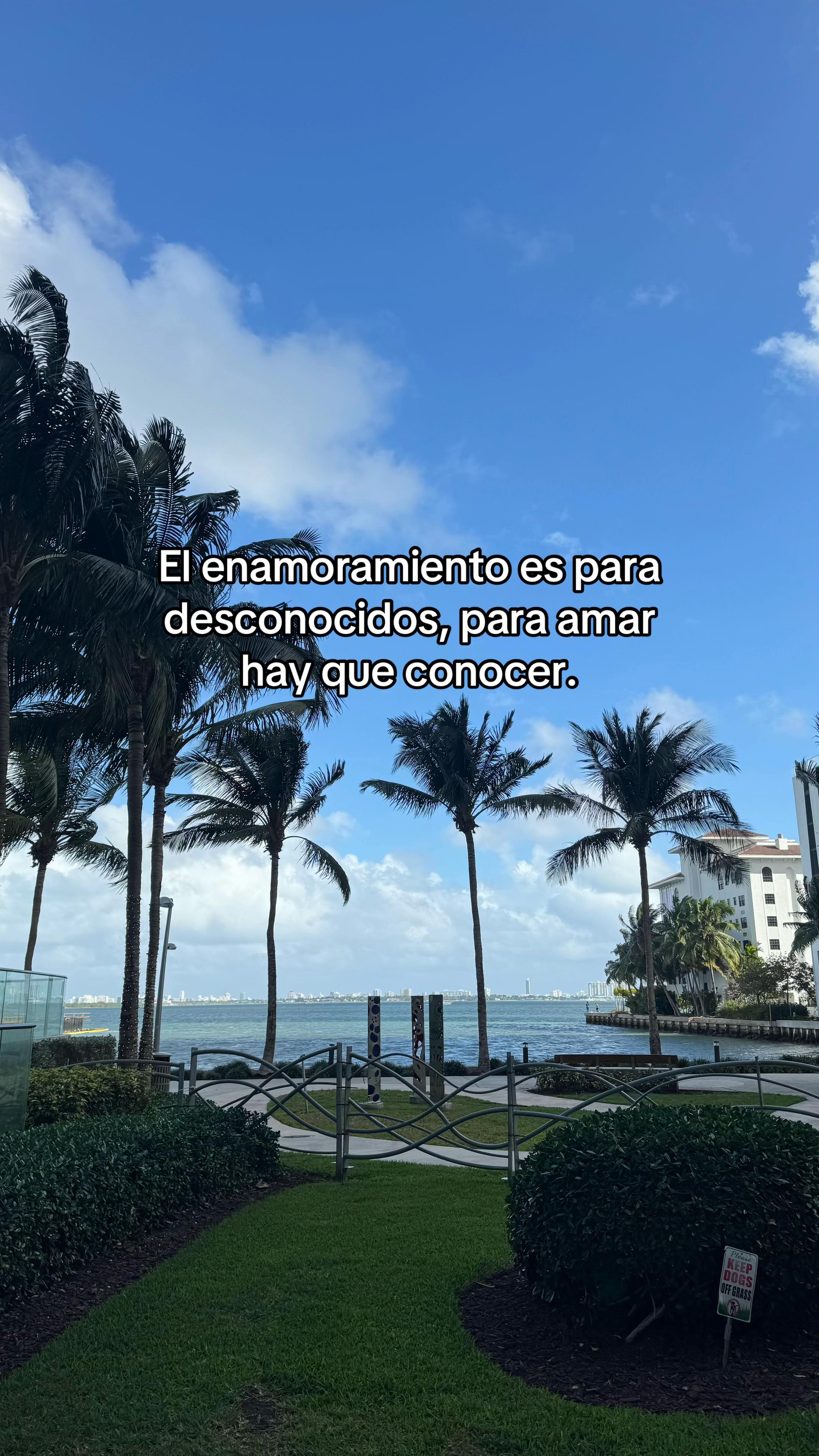 @ALE PARCON♥️