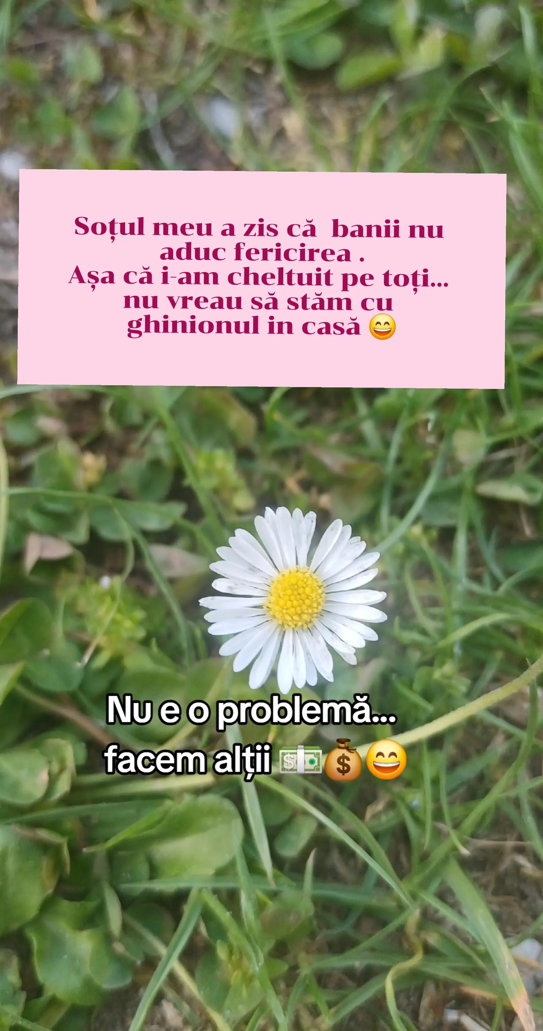 @Raluca RaLu