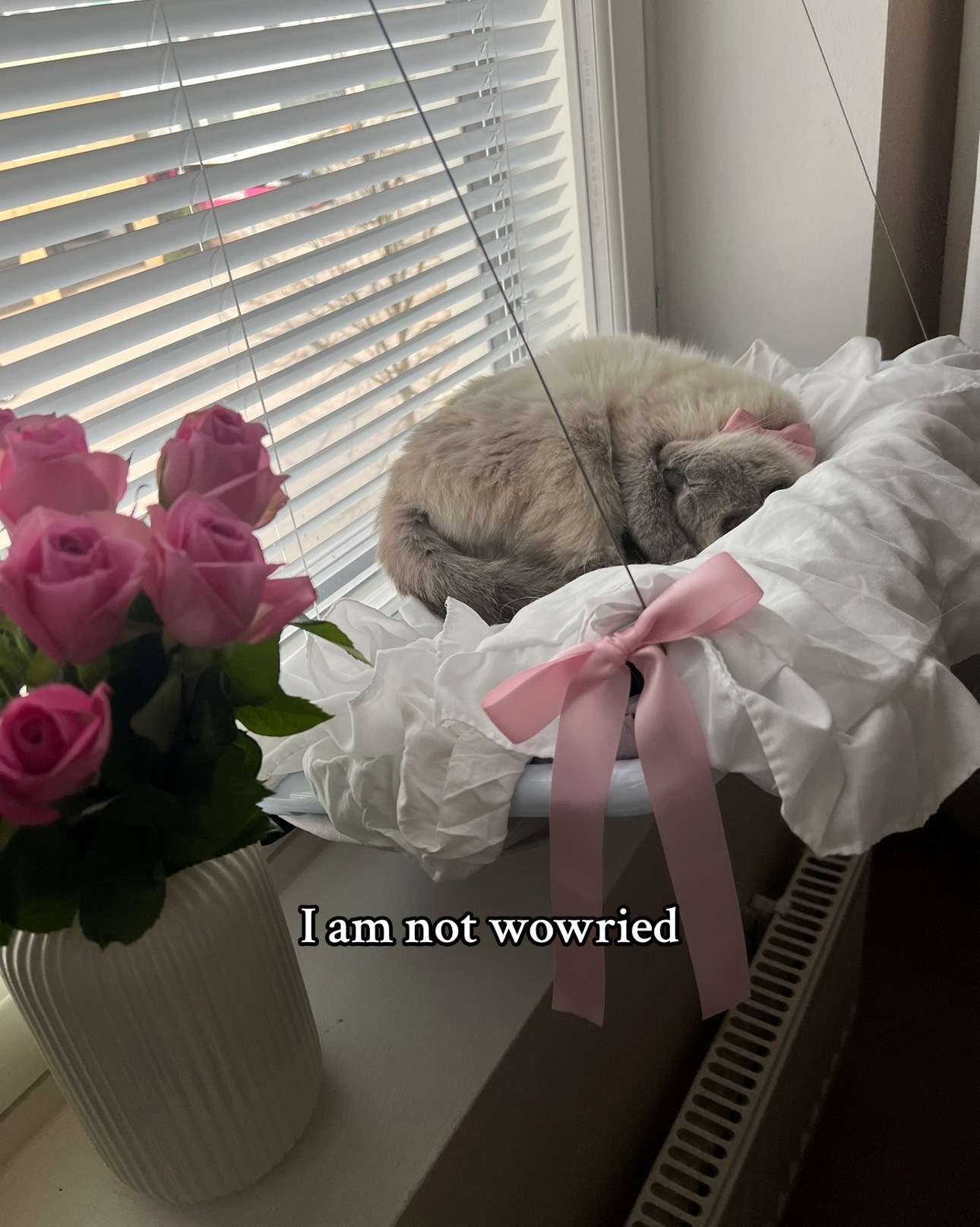 @Nelli Mattila