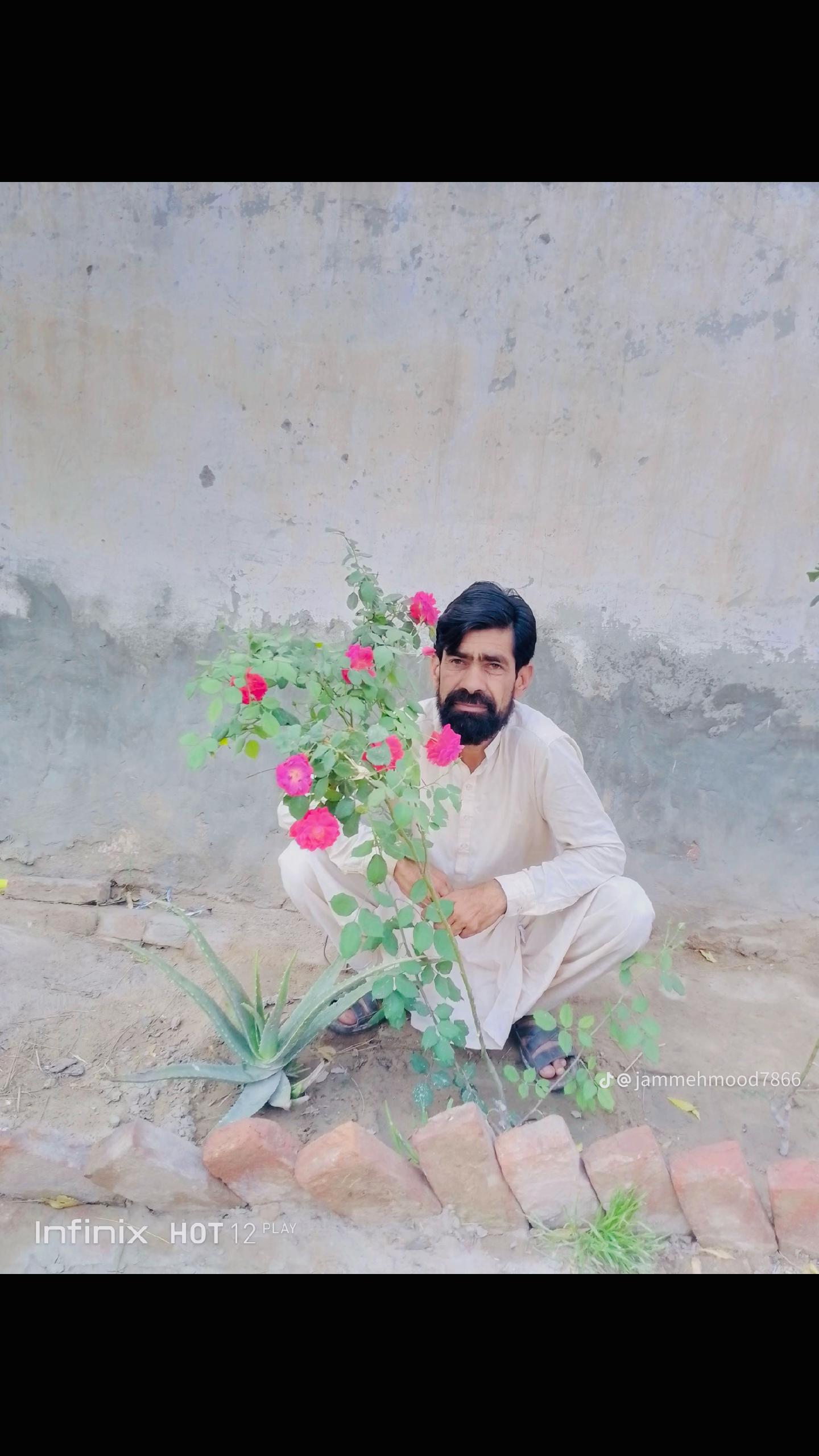 @🥀Jam Taimoor🥀