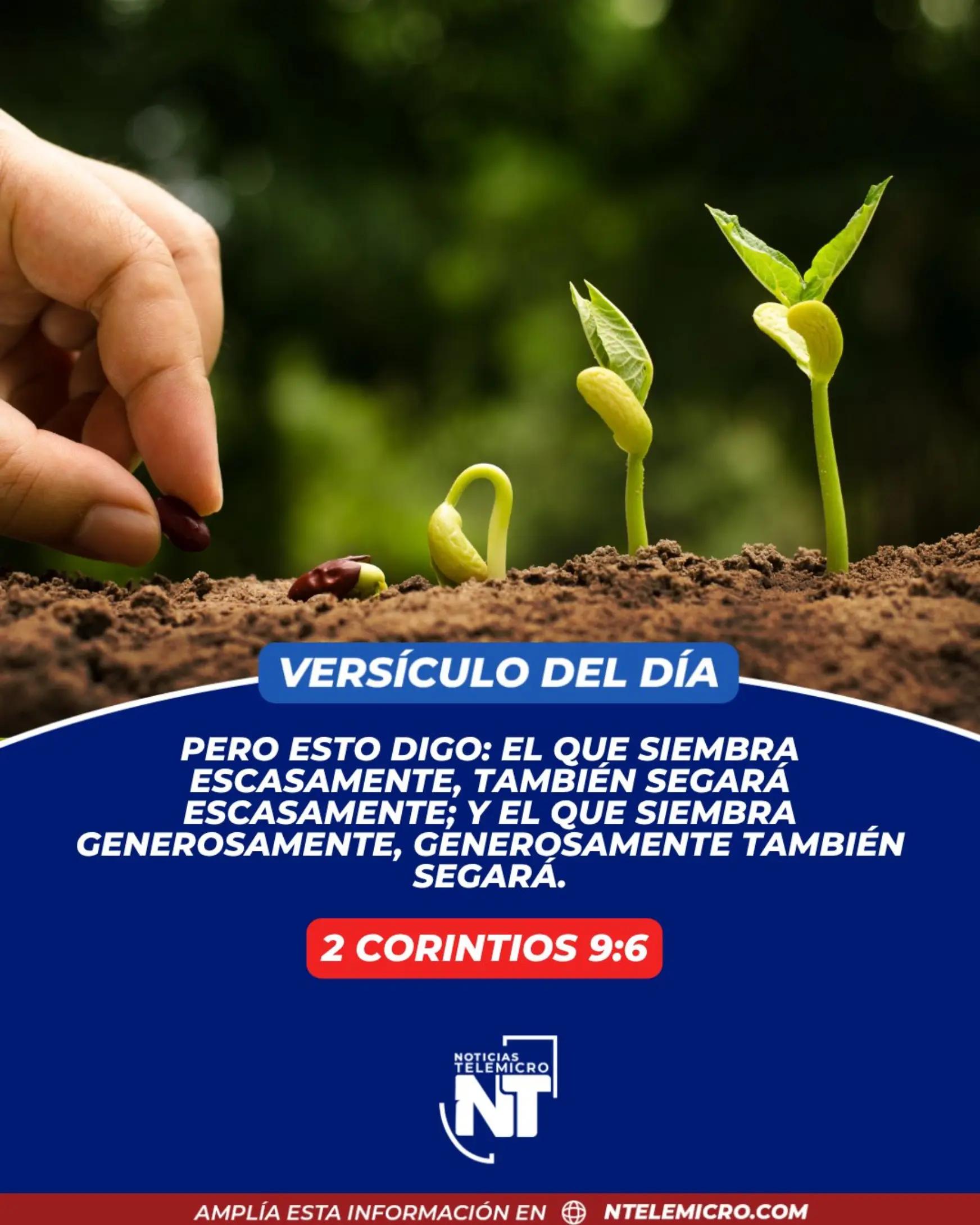 @Miguel Medina oficial