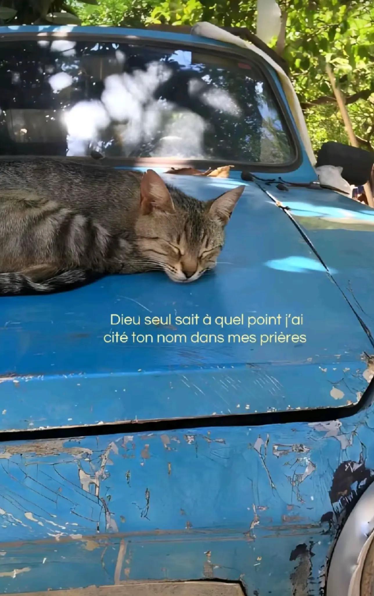 @𝓛𝓪.𝓫𝓻𝓾𝓷𝓮𝓽𝓽𝓮𝟎𝟔.𝟏𝟑