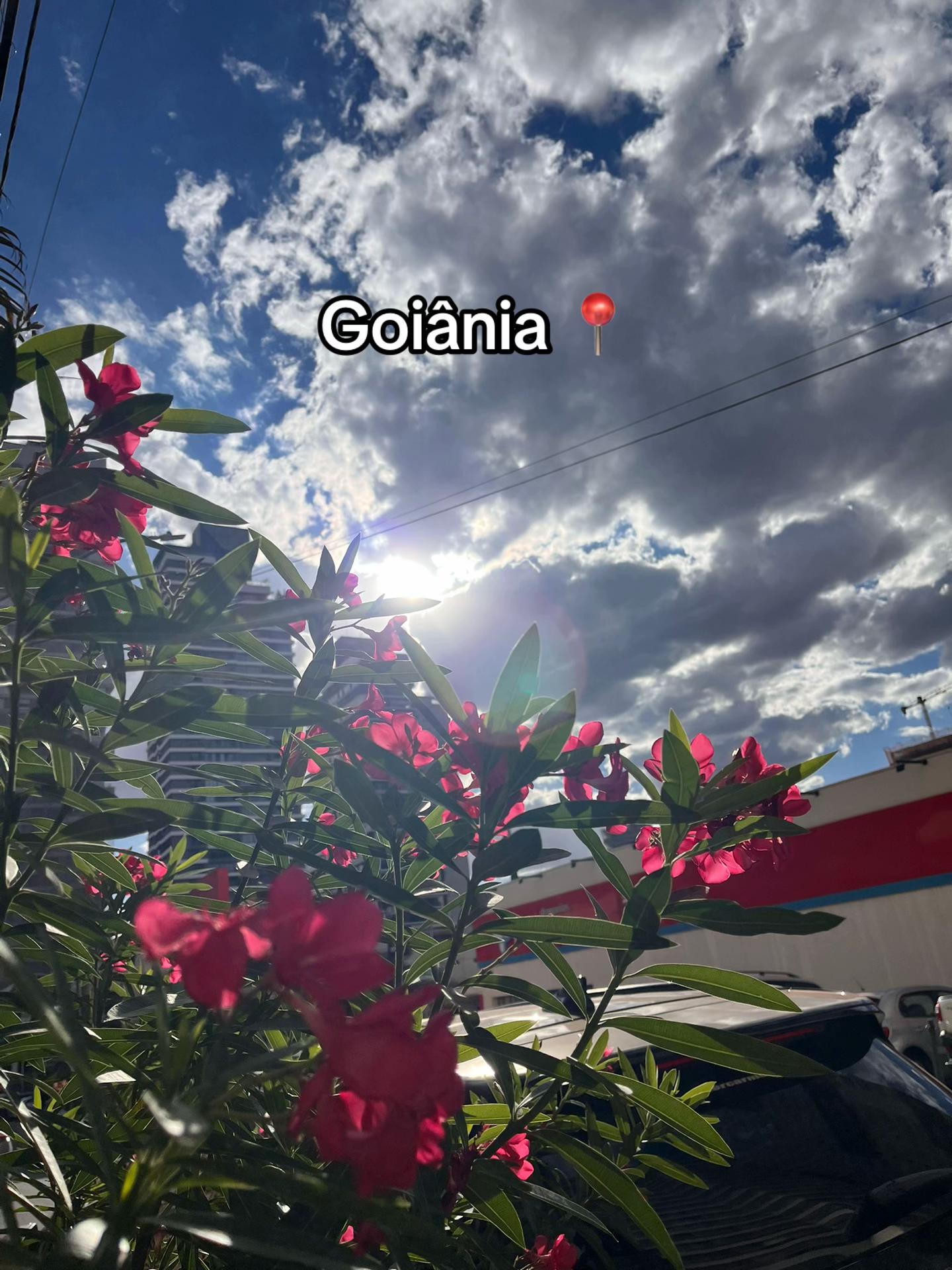 @Paixão Goiana