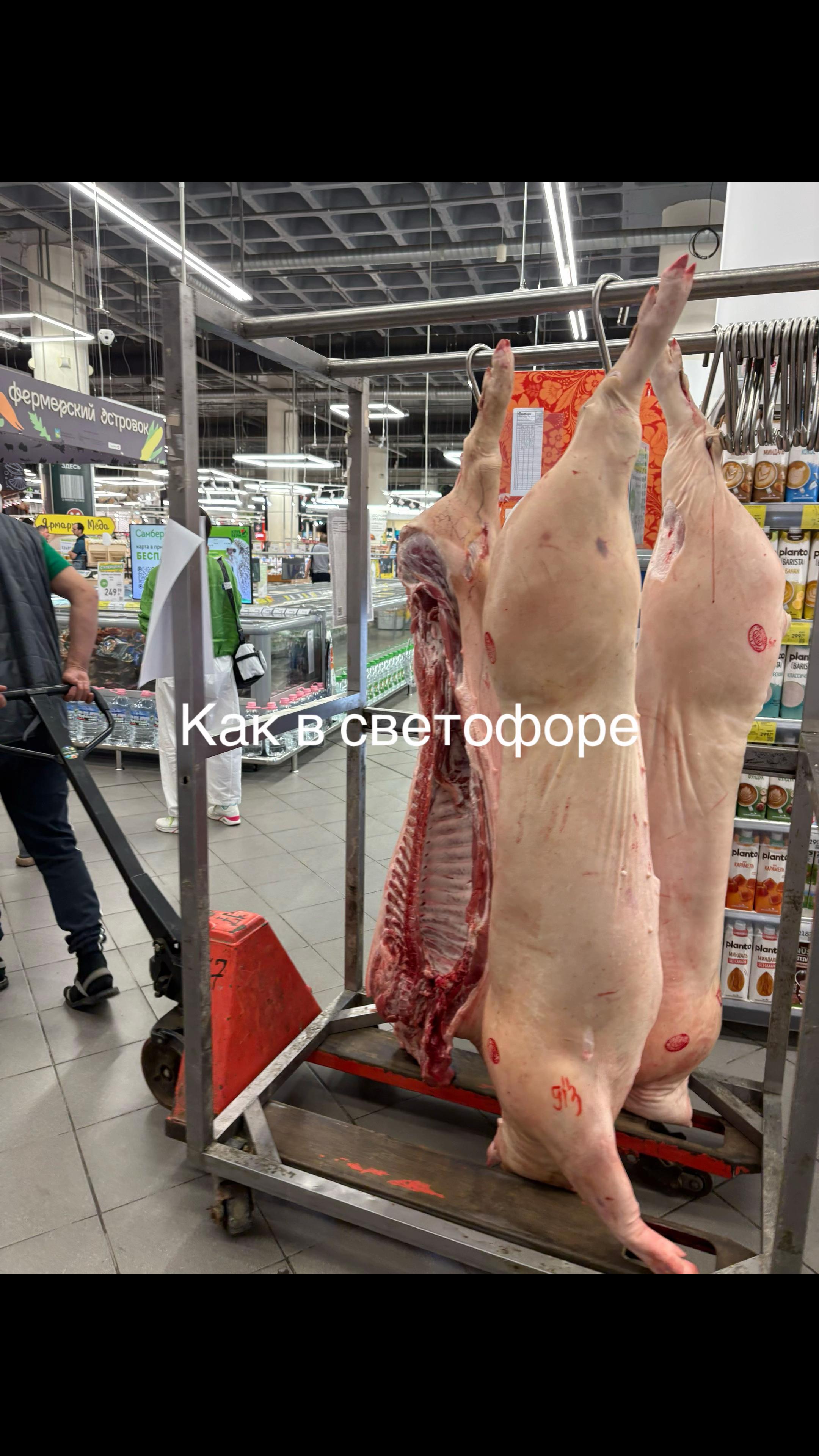 @гледастик