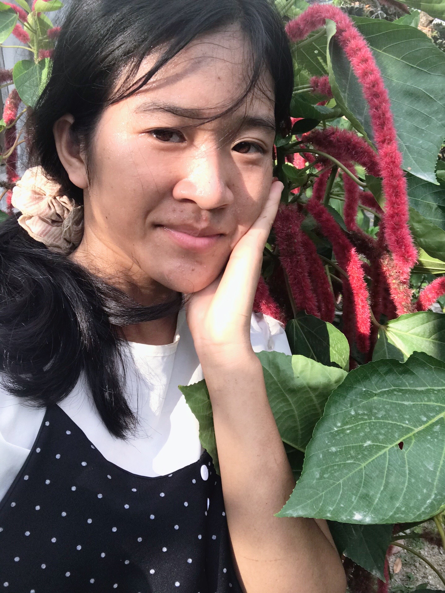 @Thanh Nguyệt