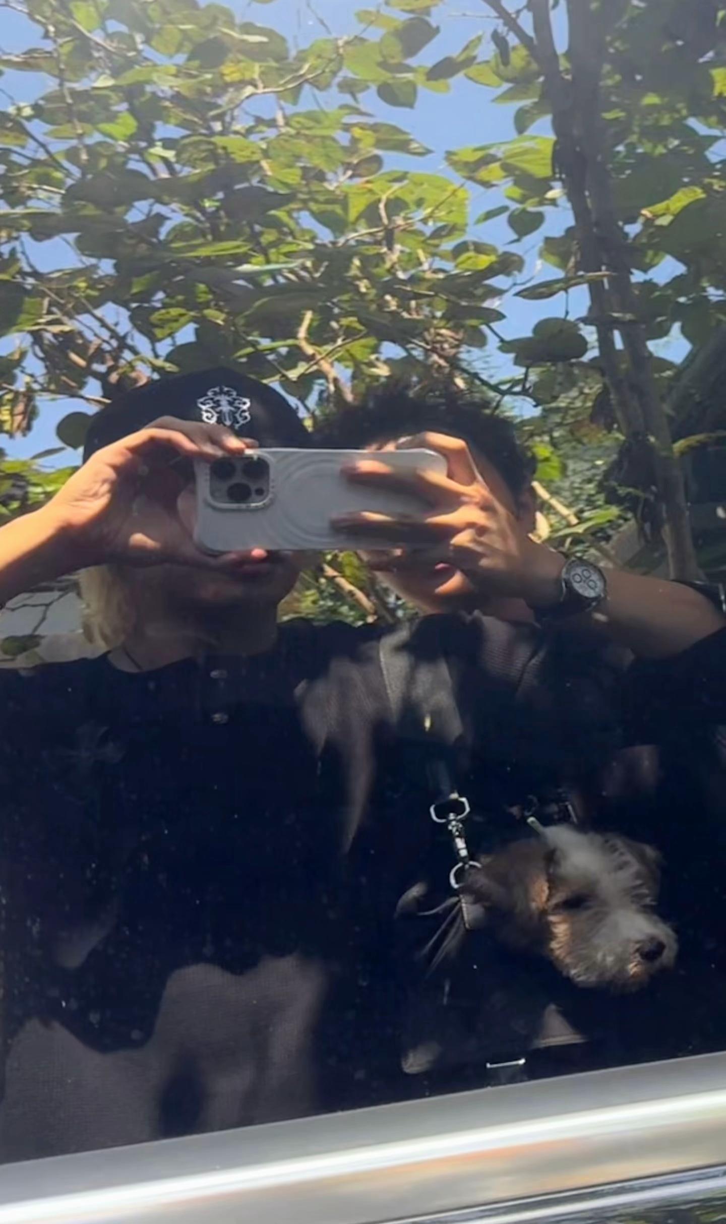 @Xizhao-Kuma-XiaoJiu-Liu🐻🐶🐳
