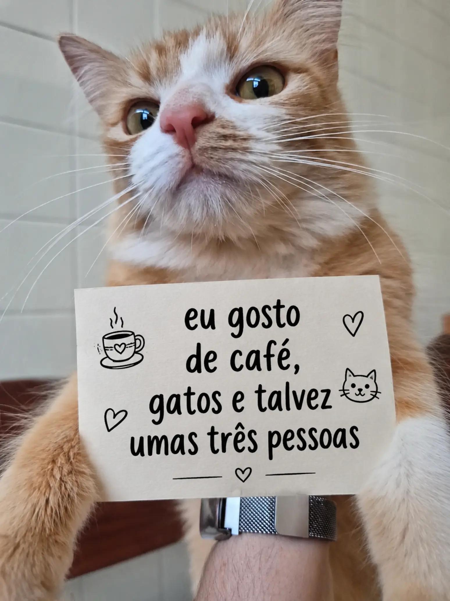 @loja pet