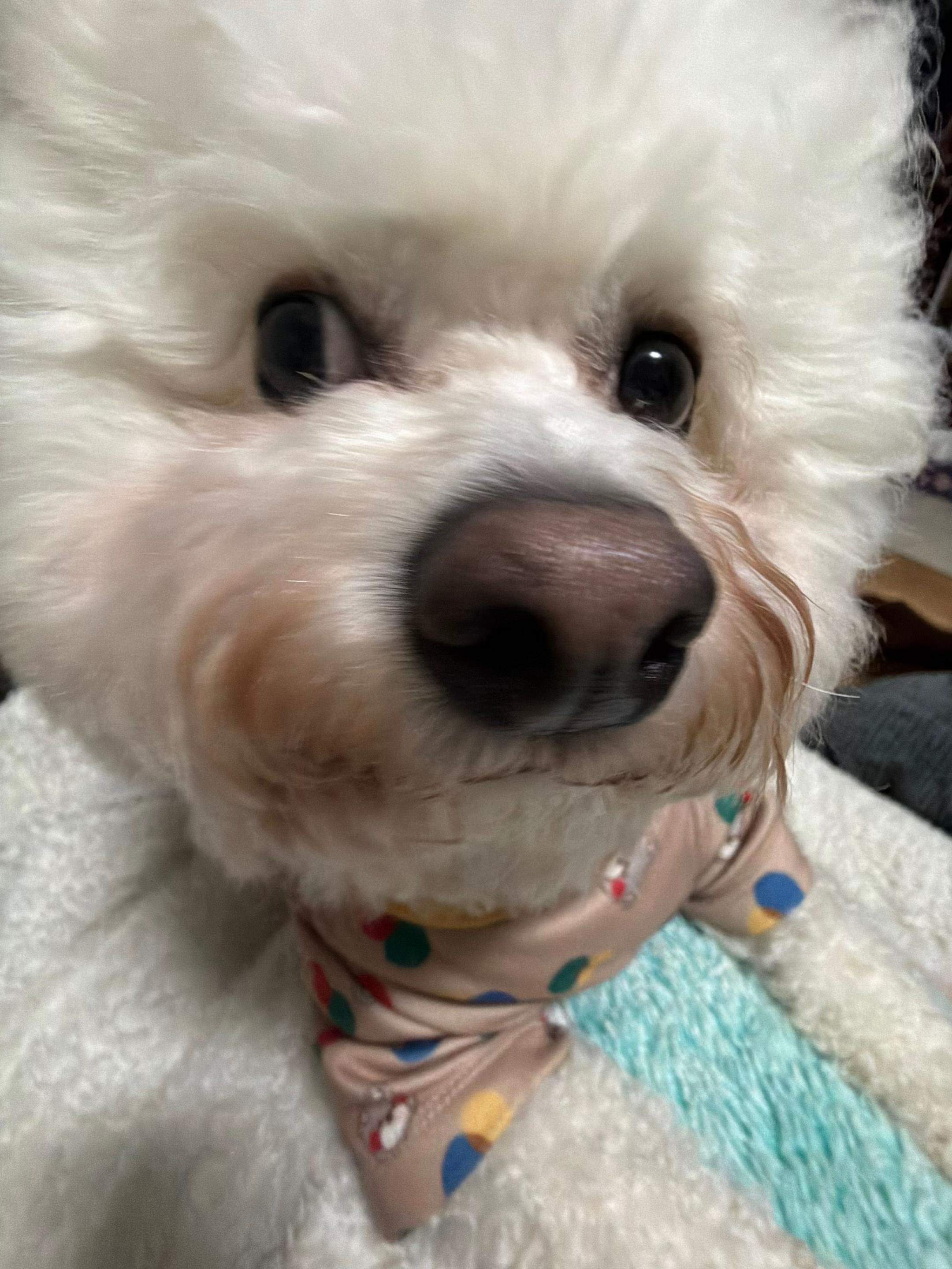@가은