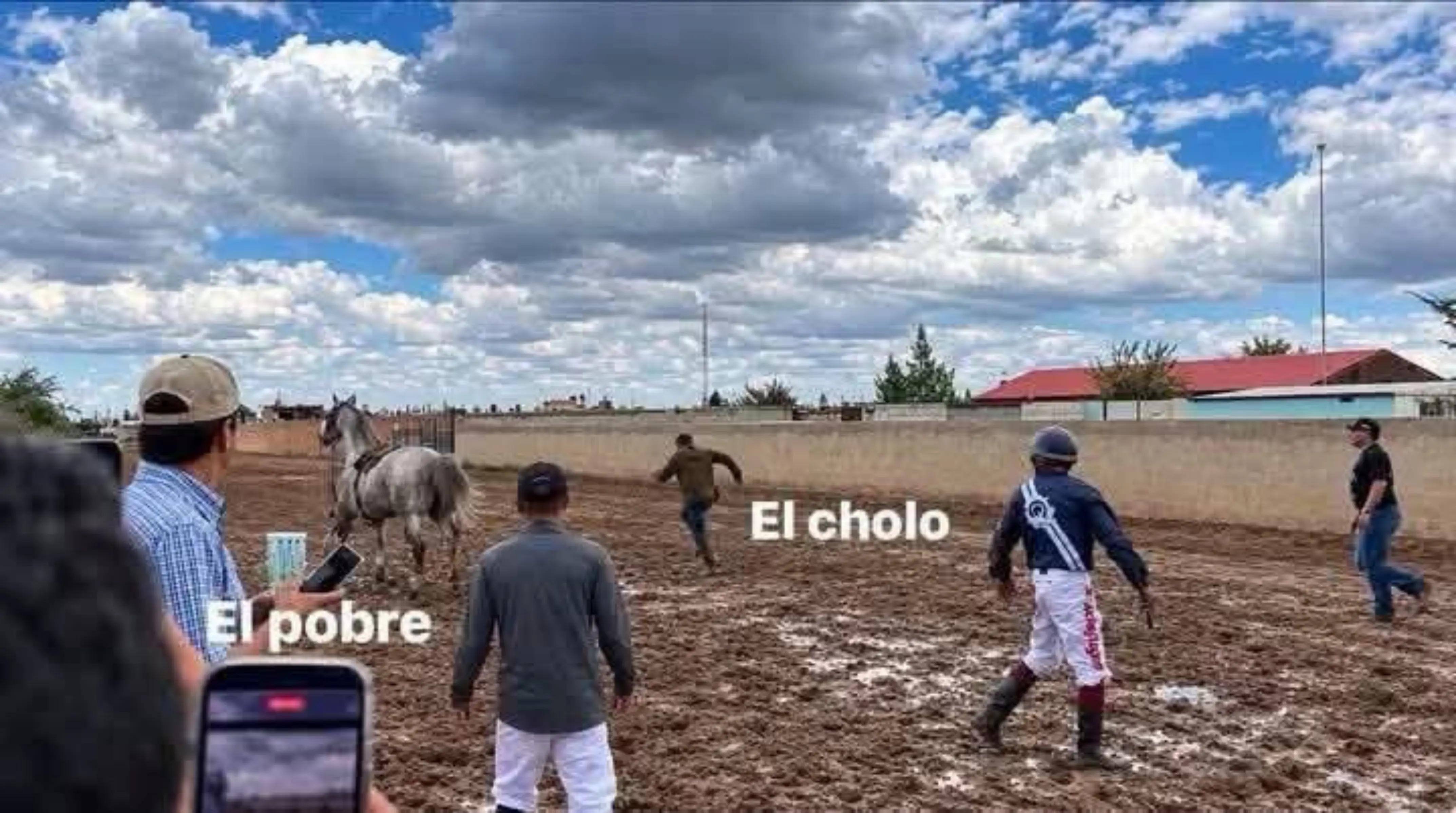 @carriles altos de jalisco🐎