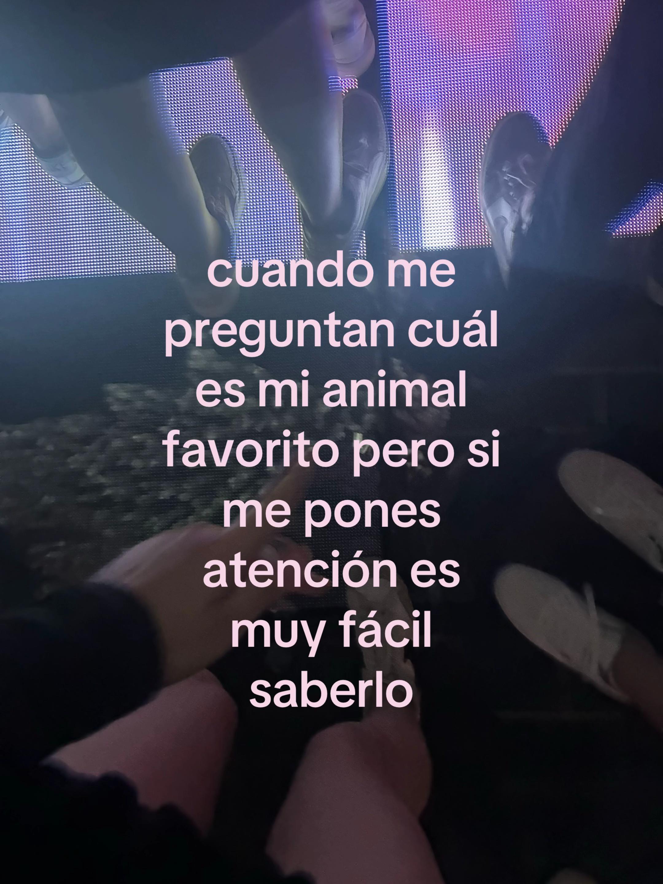 @pauchisprime