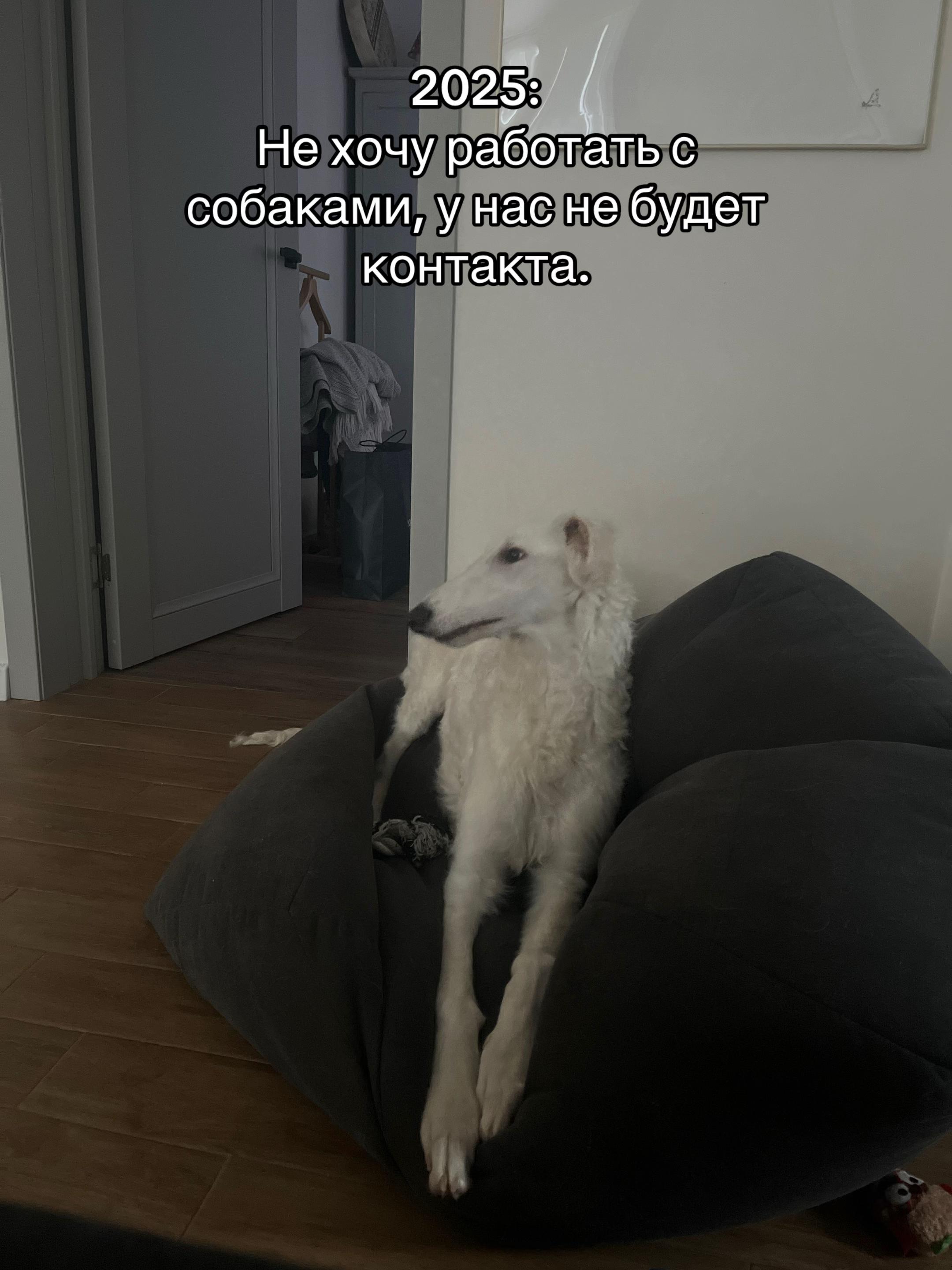 @Кареглазый блондин👁️