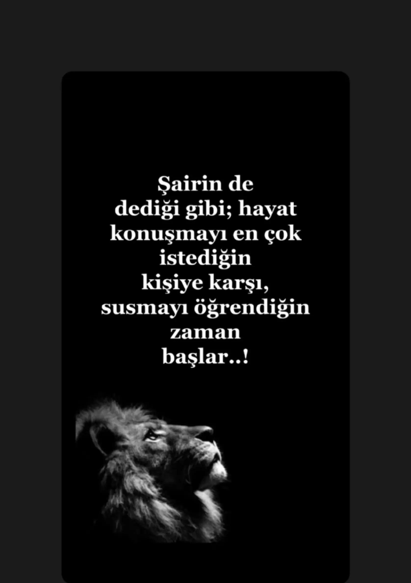 @.55_hayata_dair_53.
